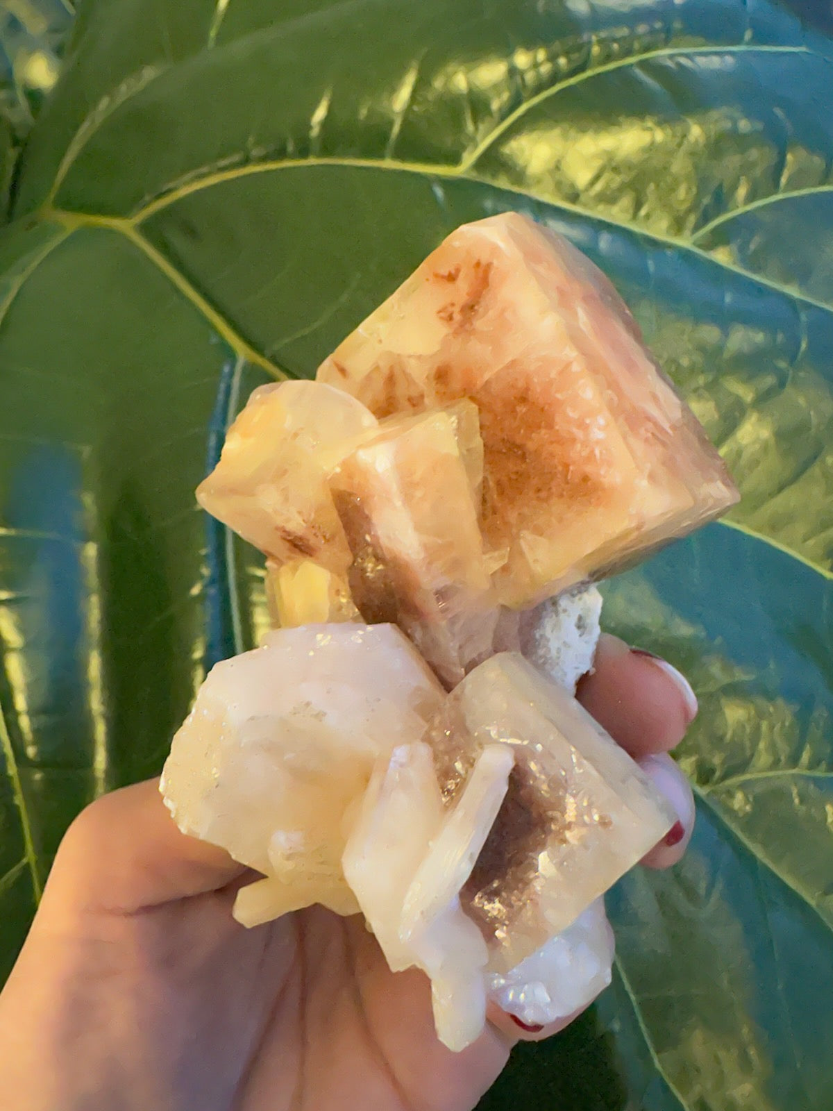 Red Apophyllite Cube on Matrix (Lg) | Minerals | Wiccan Center