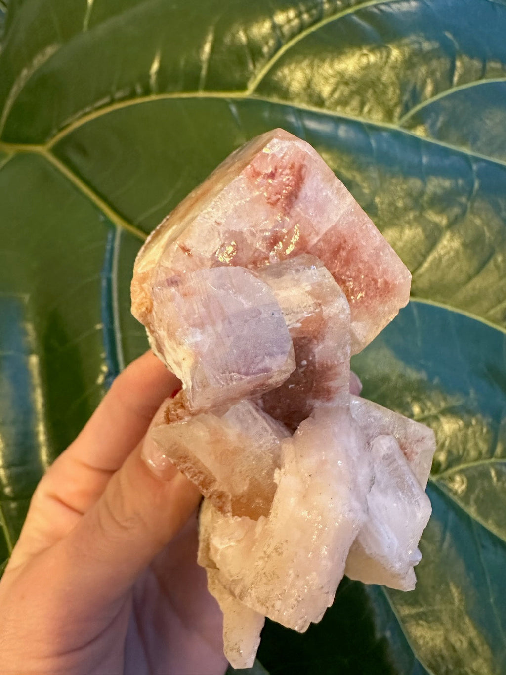 Red Apophyllite Cube on Matrix (Lg) | Minerals | Wiccan Center