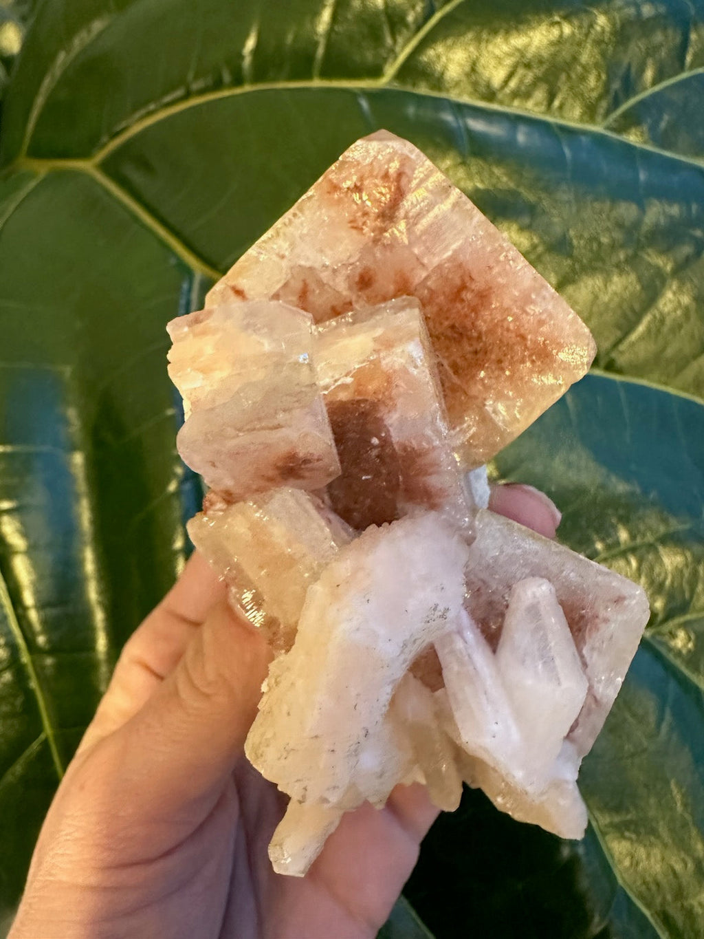 Red Apophyllite Cube on Matrix (Lg) | Minerals | Wiccan Center
