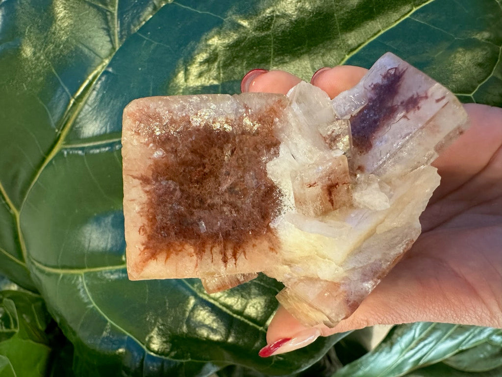 Red Apophyllite Cube (XL) from Pune, India | Minerals | Wiccan Center