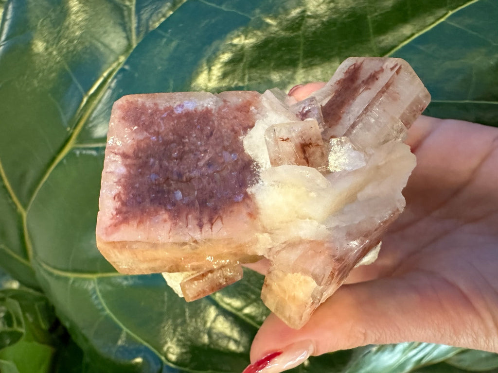 Red Apophyllite Cube (XL) from Pune, India | Minerals | Wiccan Center