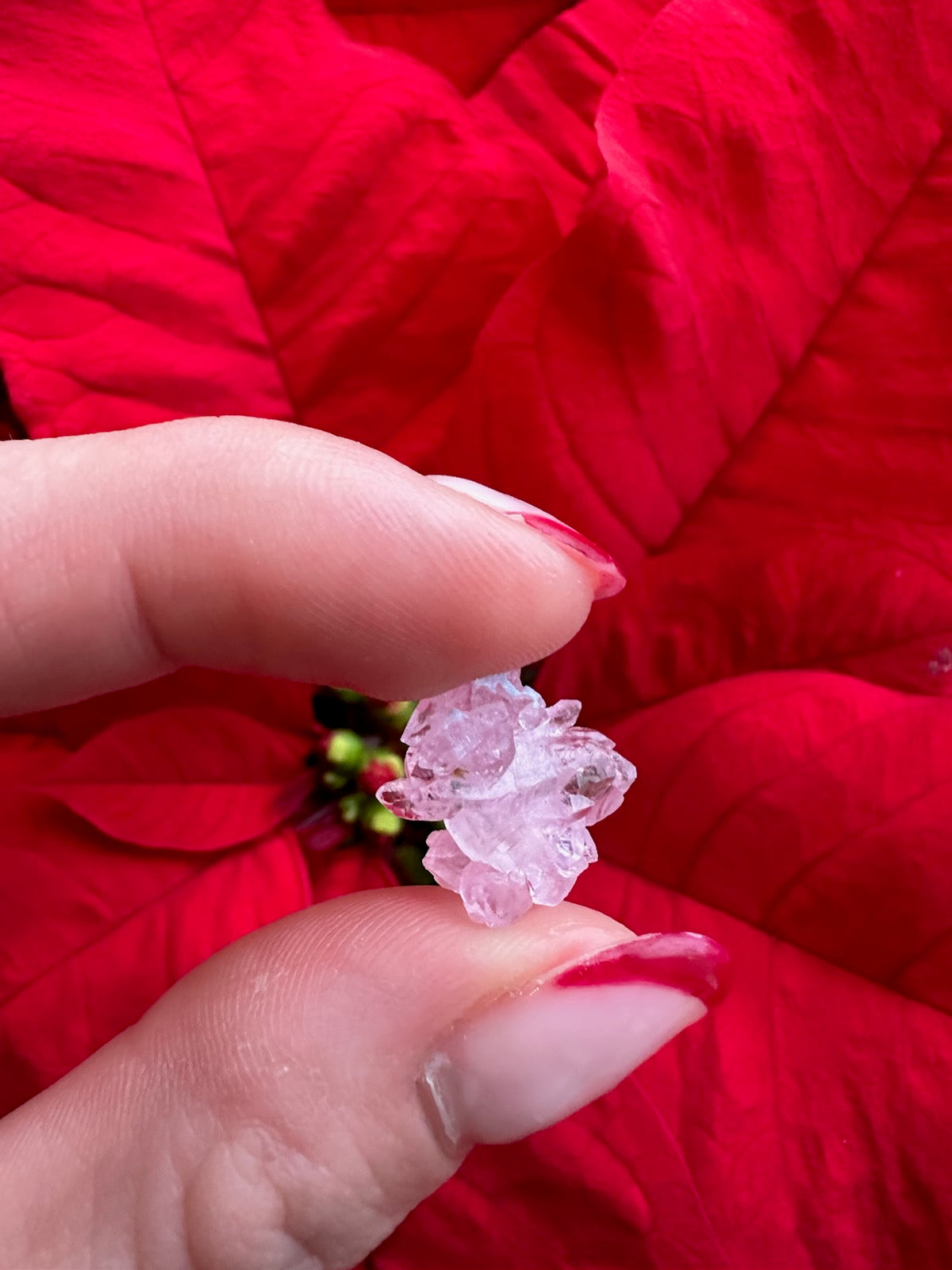Rose Quartz (micro) from Brazil | Minerals | Wiccan Center