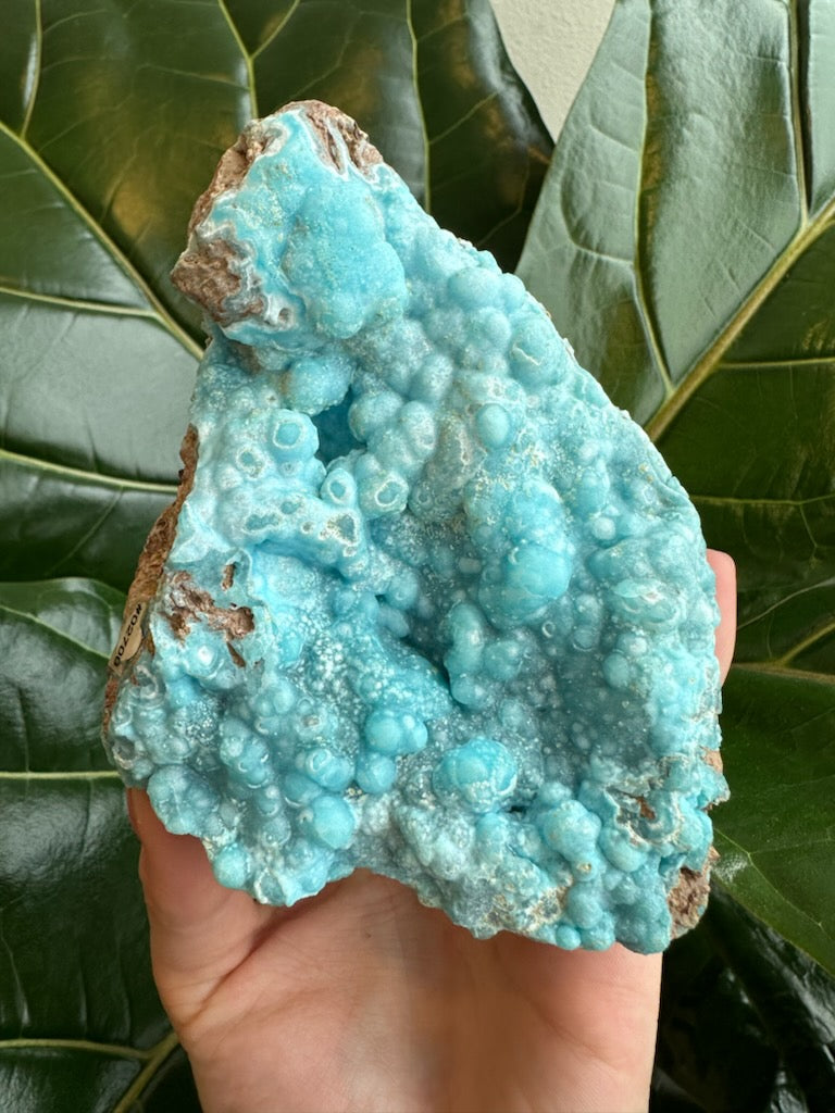 Botryoidal Blue Hemimorphite 0.5 kg | Minerals | Wiccan Center