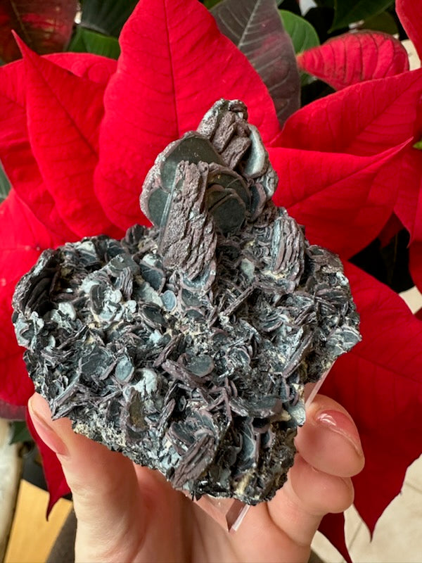 Hematite "Iron Rose" Crystal Cluster 220g | Minerals | Wiccan Center