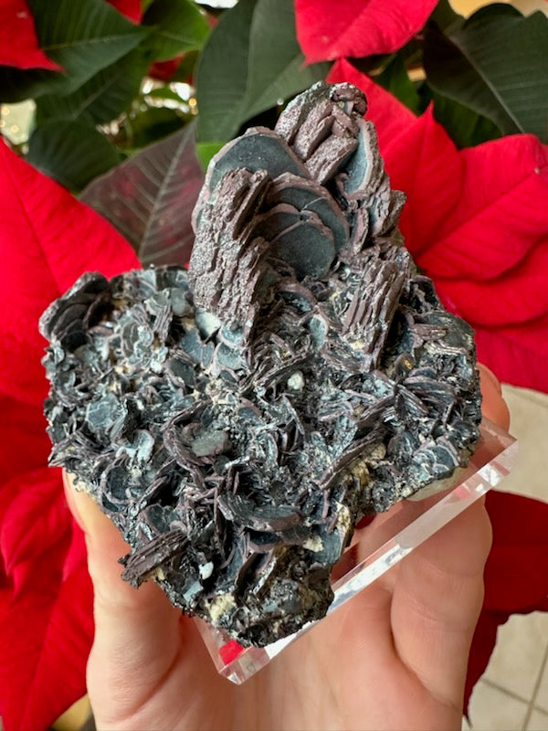 Hematite "Iron Rose" Crystal Cluster 220g | Minerals | Wiccan Center