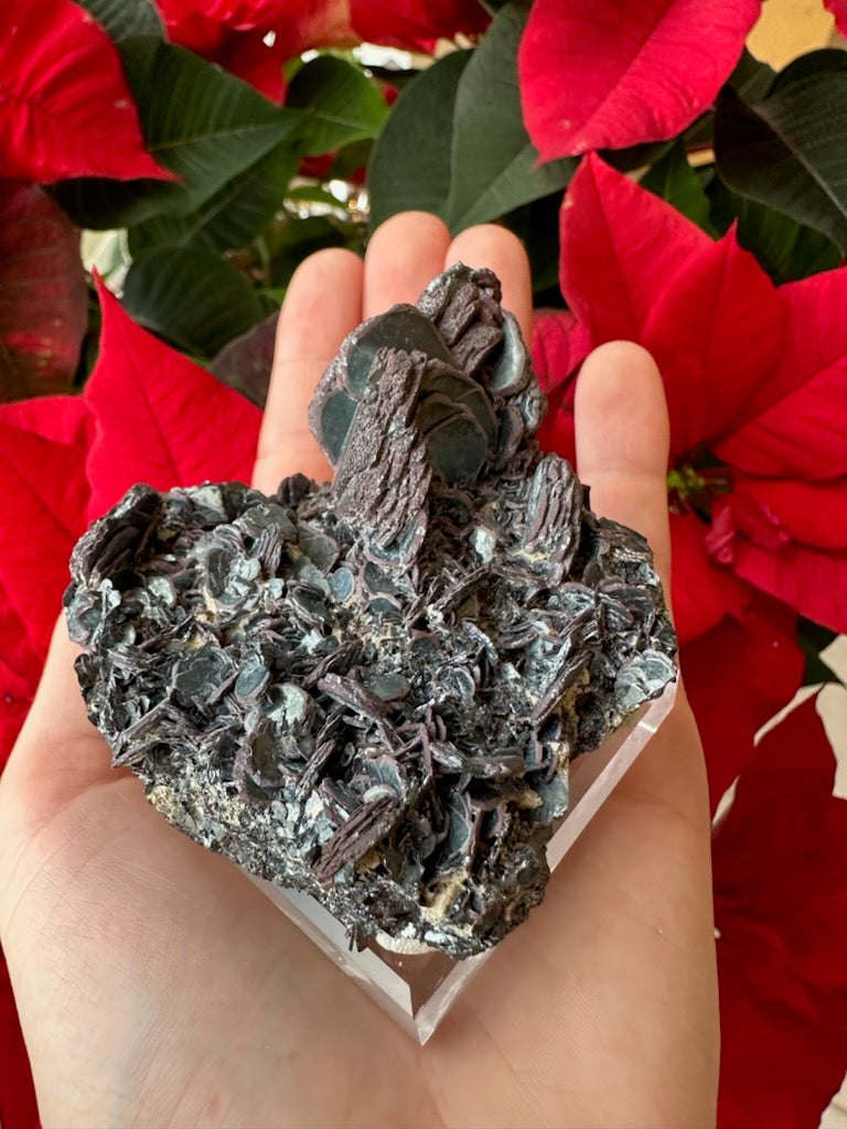 Hematite "Iron Rose" Crystal Cluster 220g | Minerals | Wiccan Center