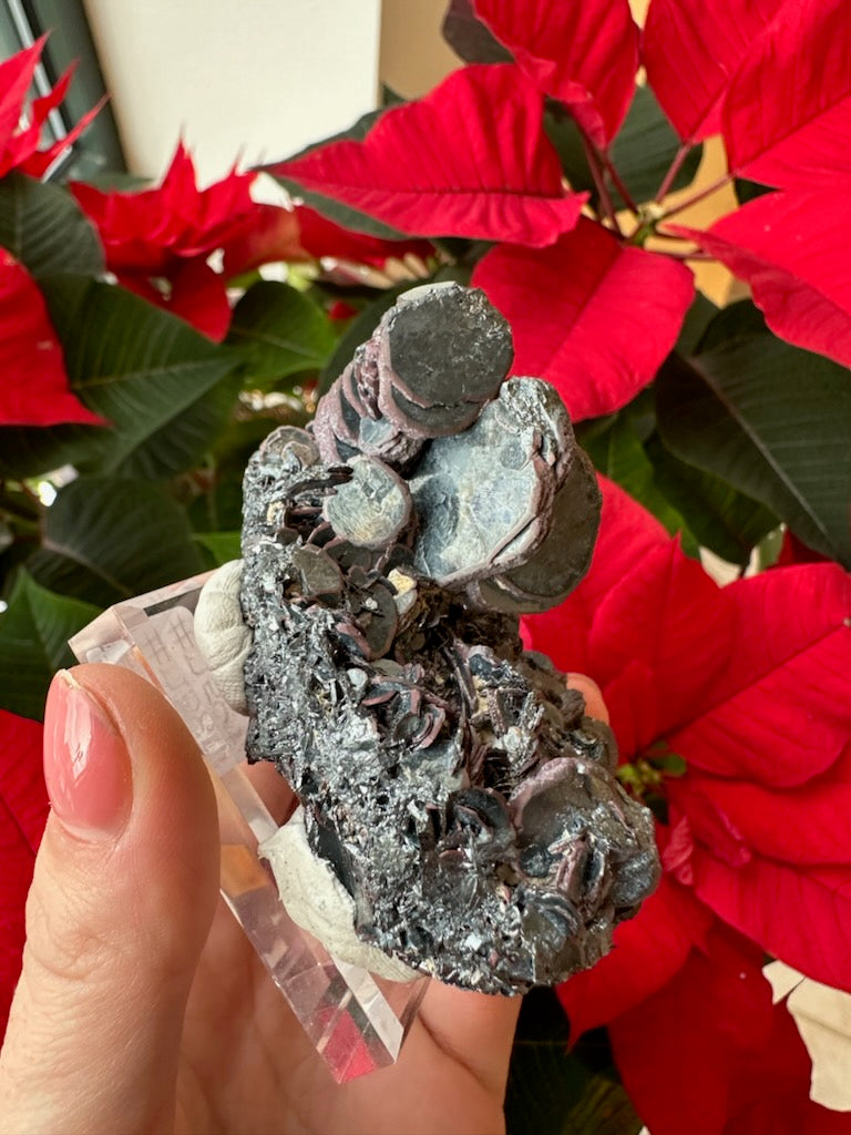 Hematite "Iron Rose" Crystal Cluster 220g | Minerals | Wiccan Center
