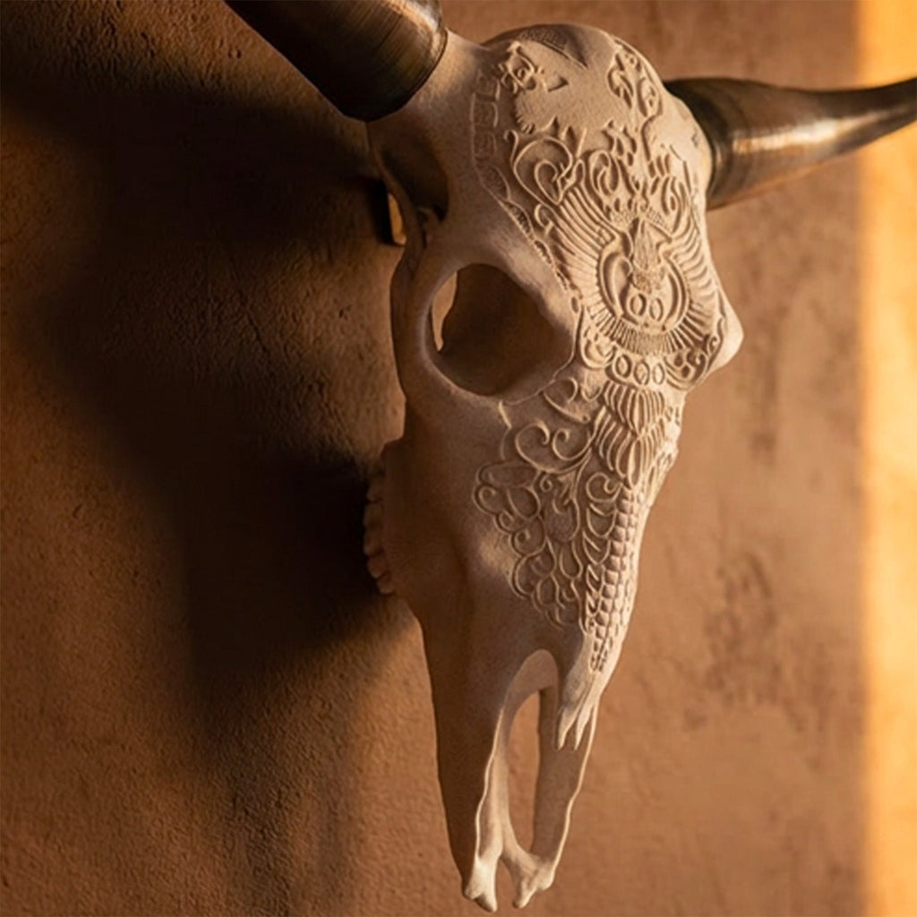 Decorative Steer Horns and Skull | Bull Horns | Wiccan Center
