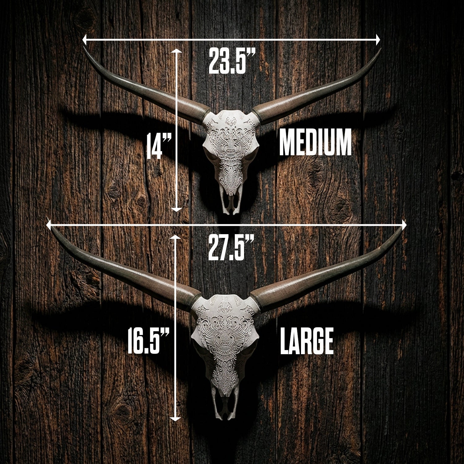 Decorative Steer Horns and Skull | Bull Horns | Wiccan Center