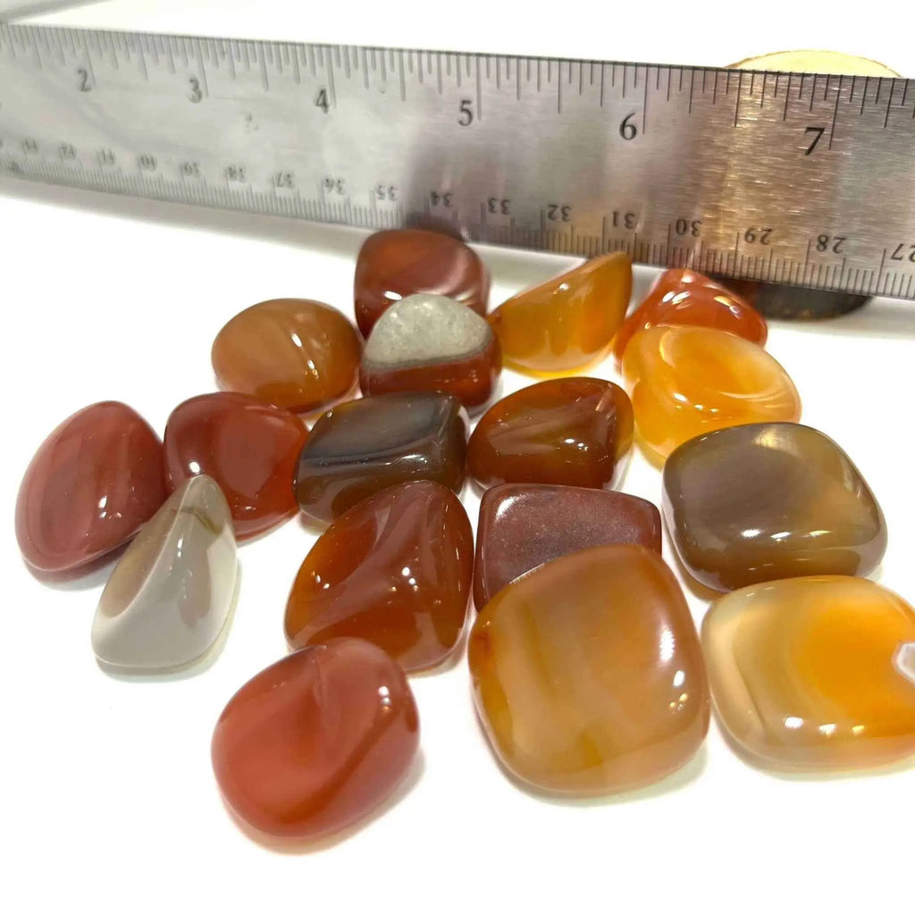 Carnelian Tumbled Pocket Stone (B) | Tumbled Stones | Wiccan Center