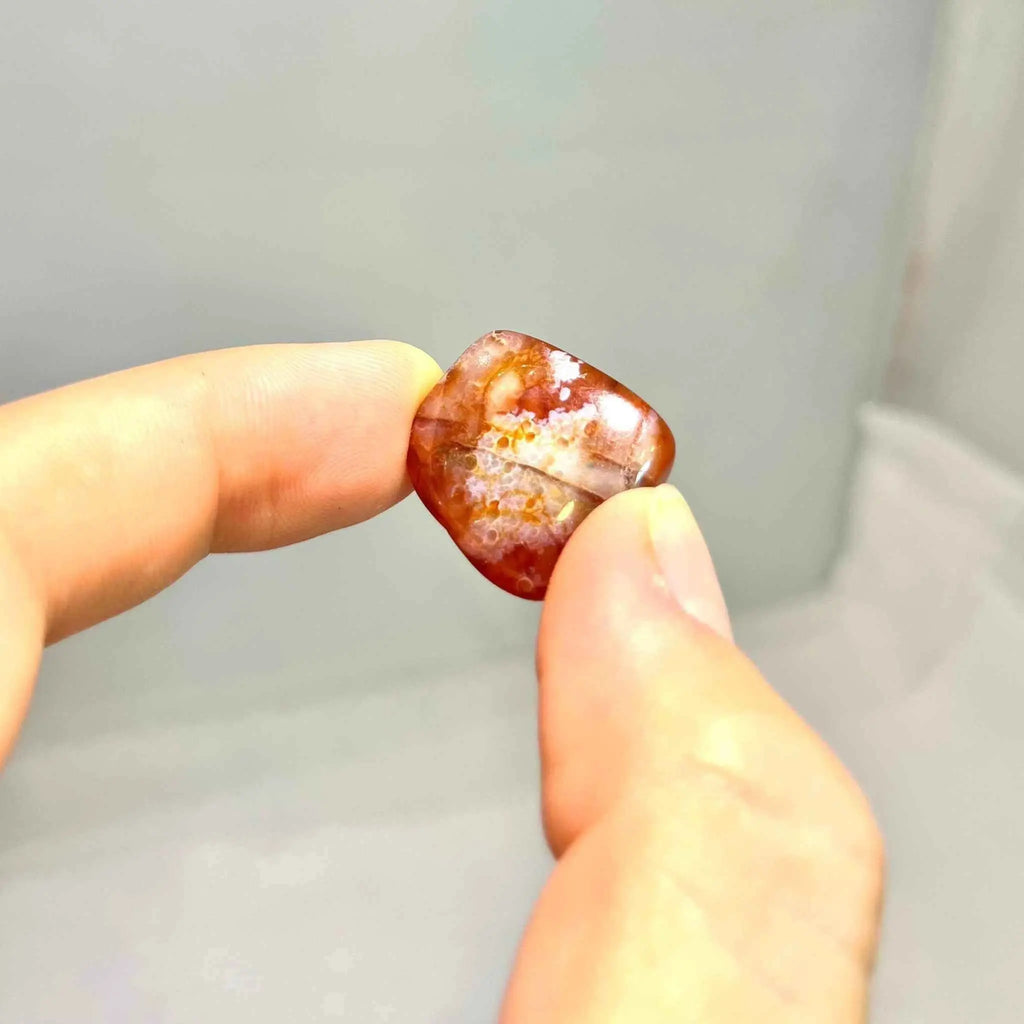 Carnelian Tumbled Pocket Stone (B) | Tumbled Stones | Wiccan Center