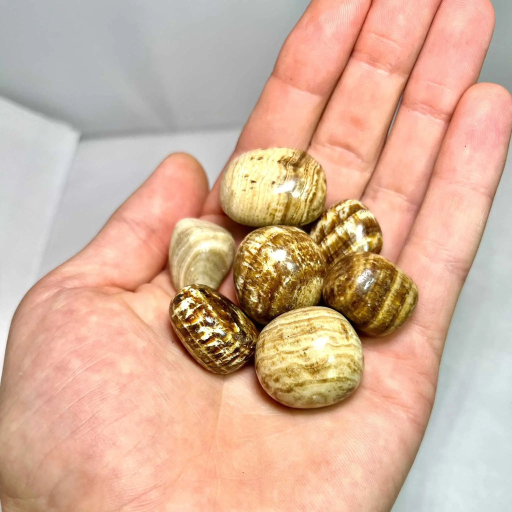 Aragonite Tumbled Stone | Tumbled Stones | Wiccan Center