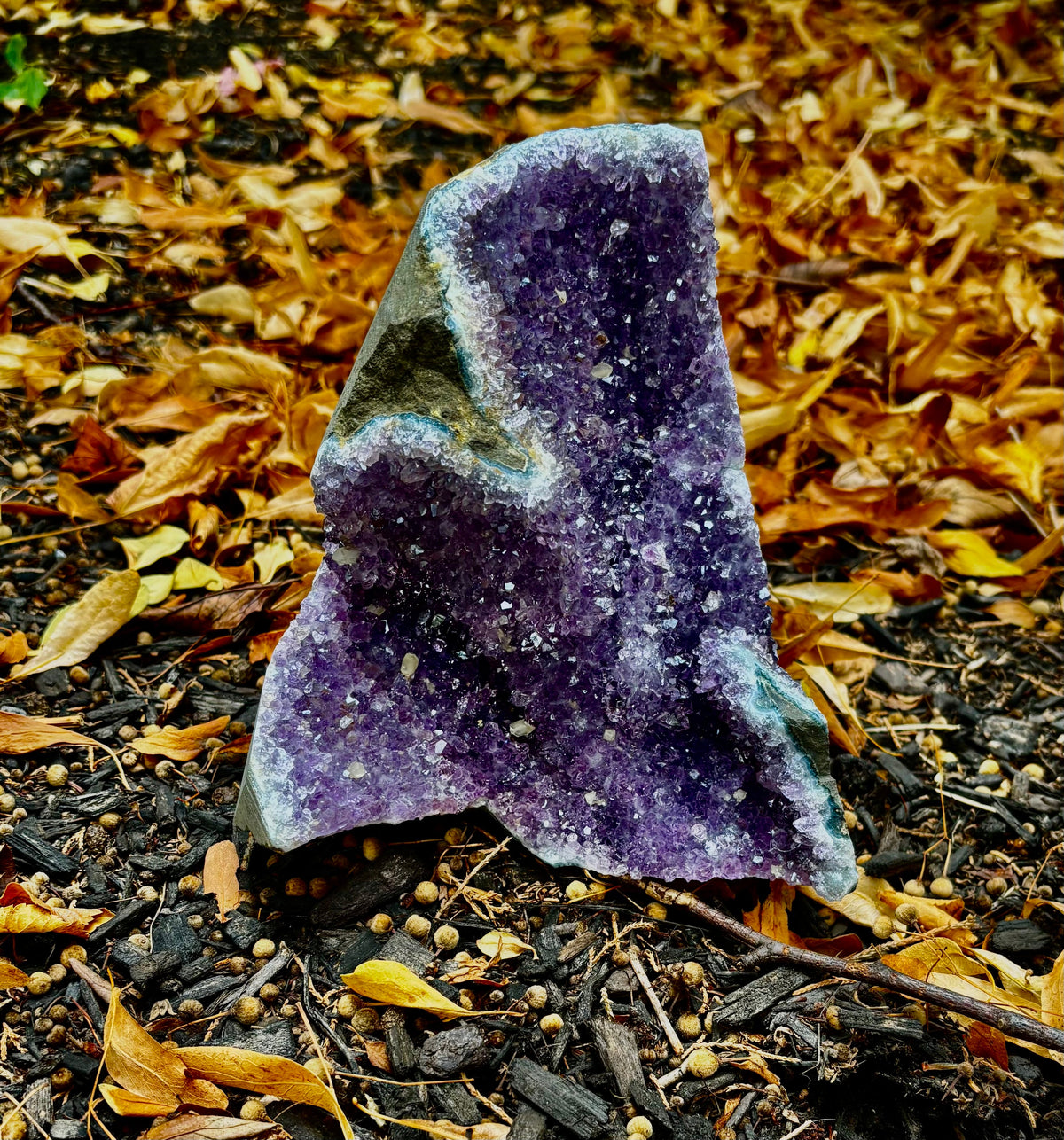Statement Raw Amethyst Geode Cluster – Intuition, Peace & Tranquility (5 lb 1 oz) | | Wiccan Center