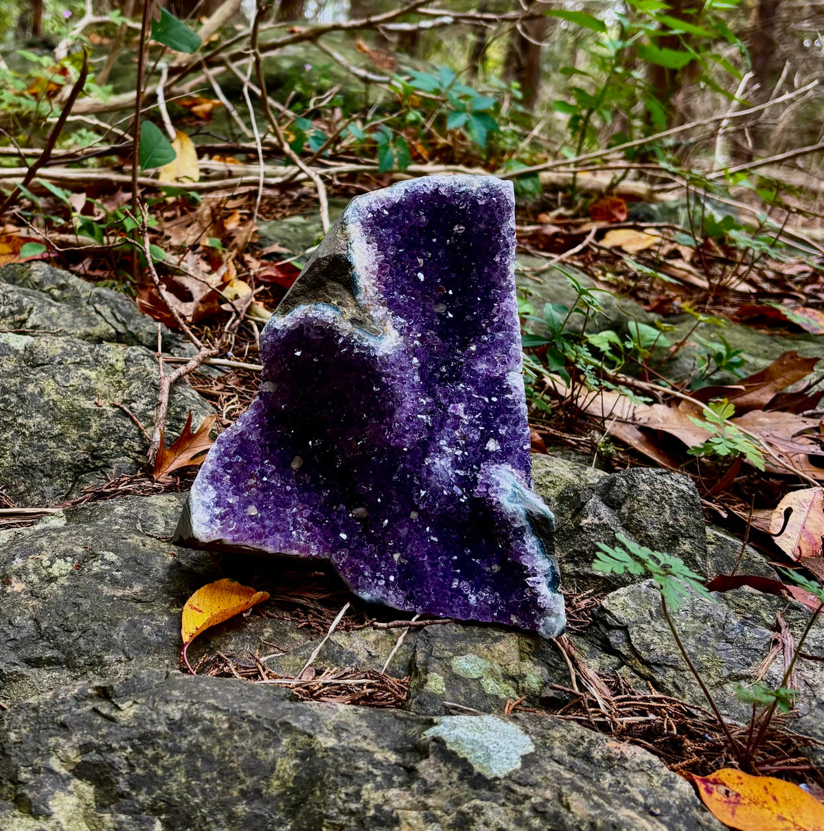 Statement Raw Amethyst Geode Cluster – Intuition, Peace & Tranquility (5 lb 1 oz) | | Wiccan Center