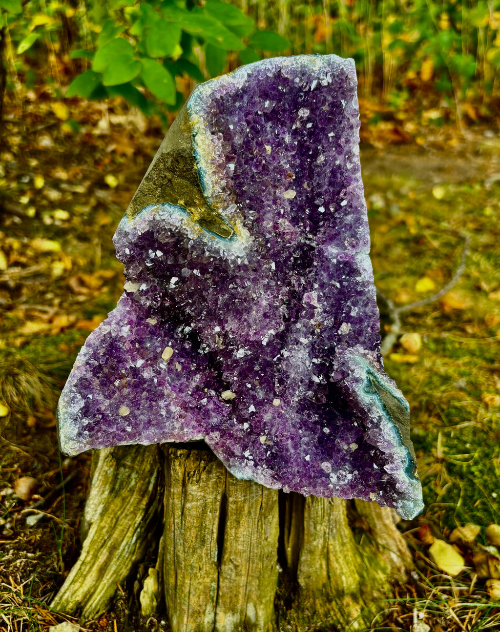 Statement Raw Amethyst Geode Cluster – Intuition, Peace & Tranquility (5 lb 1 oz) | | Wiccan Center