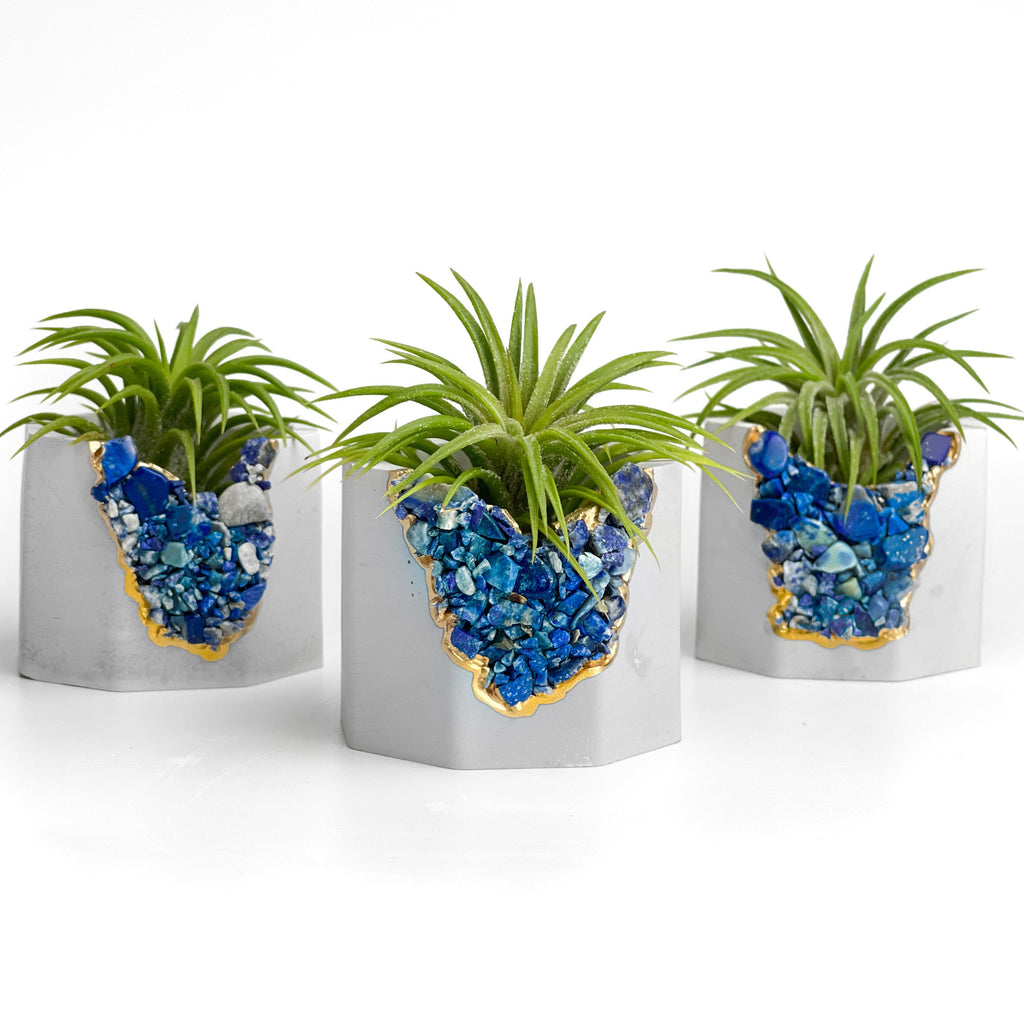 LAPIS LAZULI GEODE PLANTER