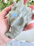 Labradorite Dragon Head (B) for Transitions, 4.25 Inch