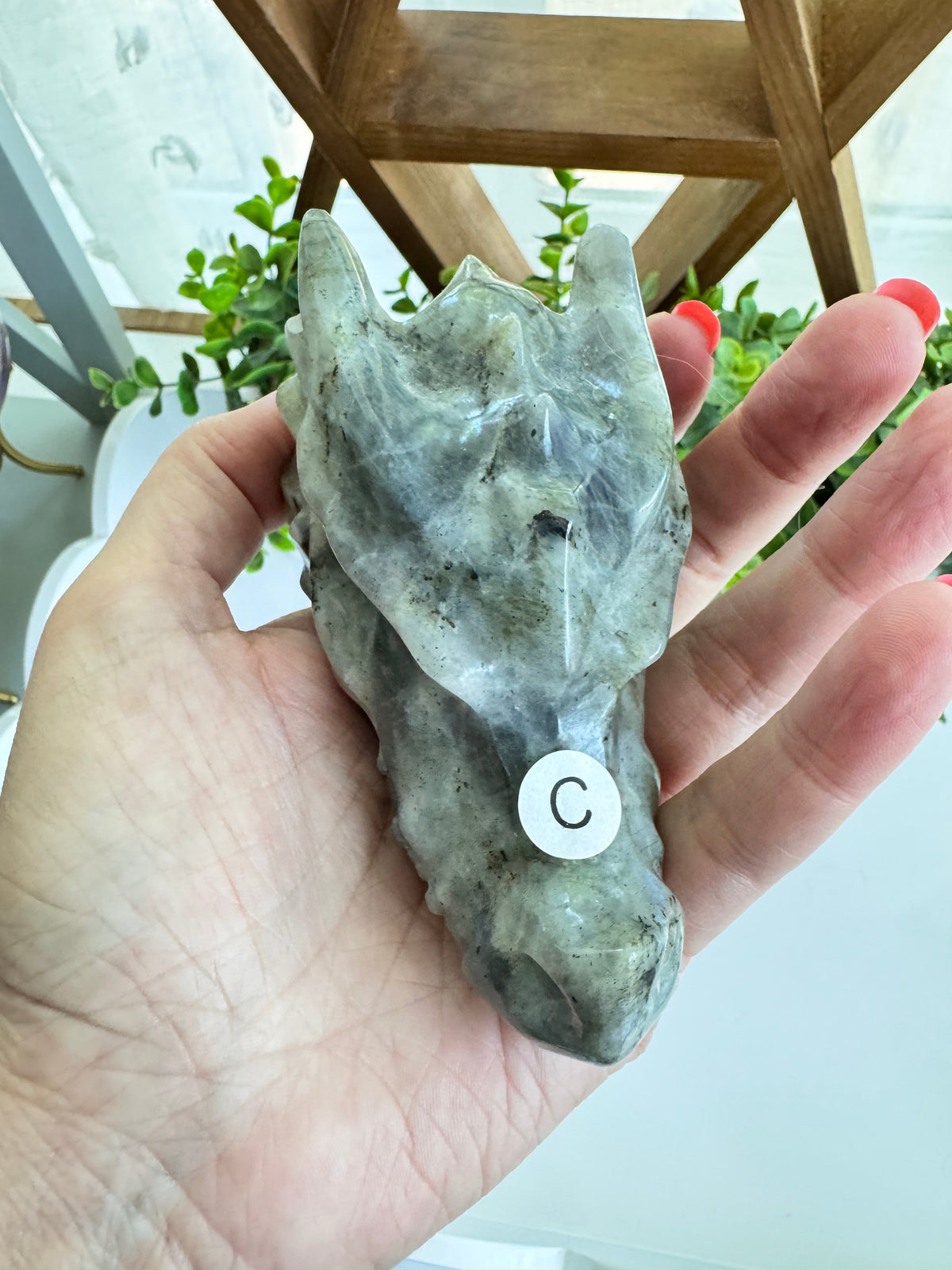 Labradorite Dragon Head (C) for Transitions, 4.25 Inch