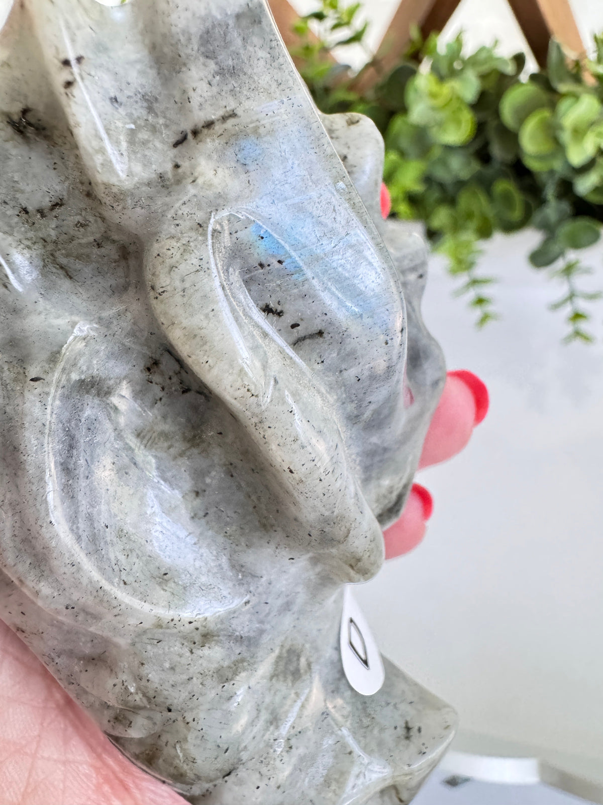 Labradorite Dragon Head (D) for Transitions, 4.25 Inch
