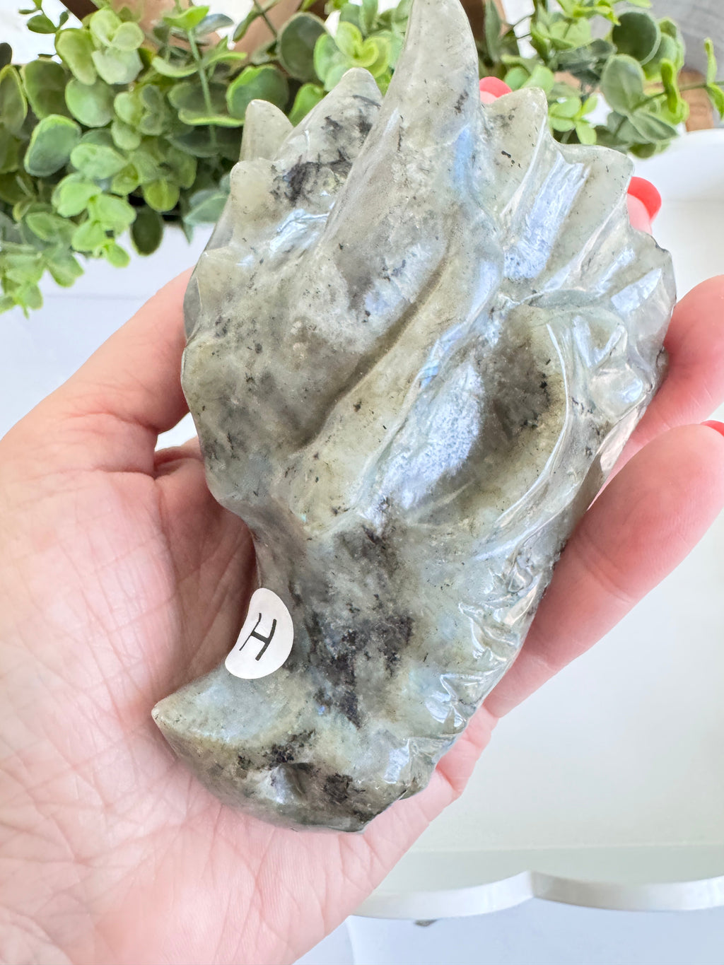 Labradorite Dragon Head (H) for Transitions, 4.25 Inch