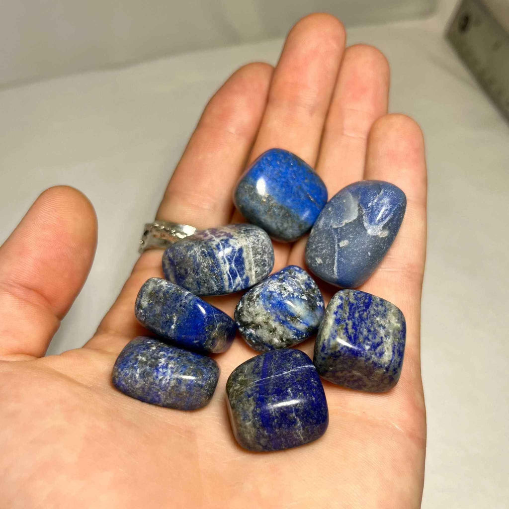 Lapis Lazuli Tumbled Pocket Stone | Tumbled Stones | Wiccan Center