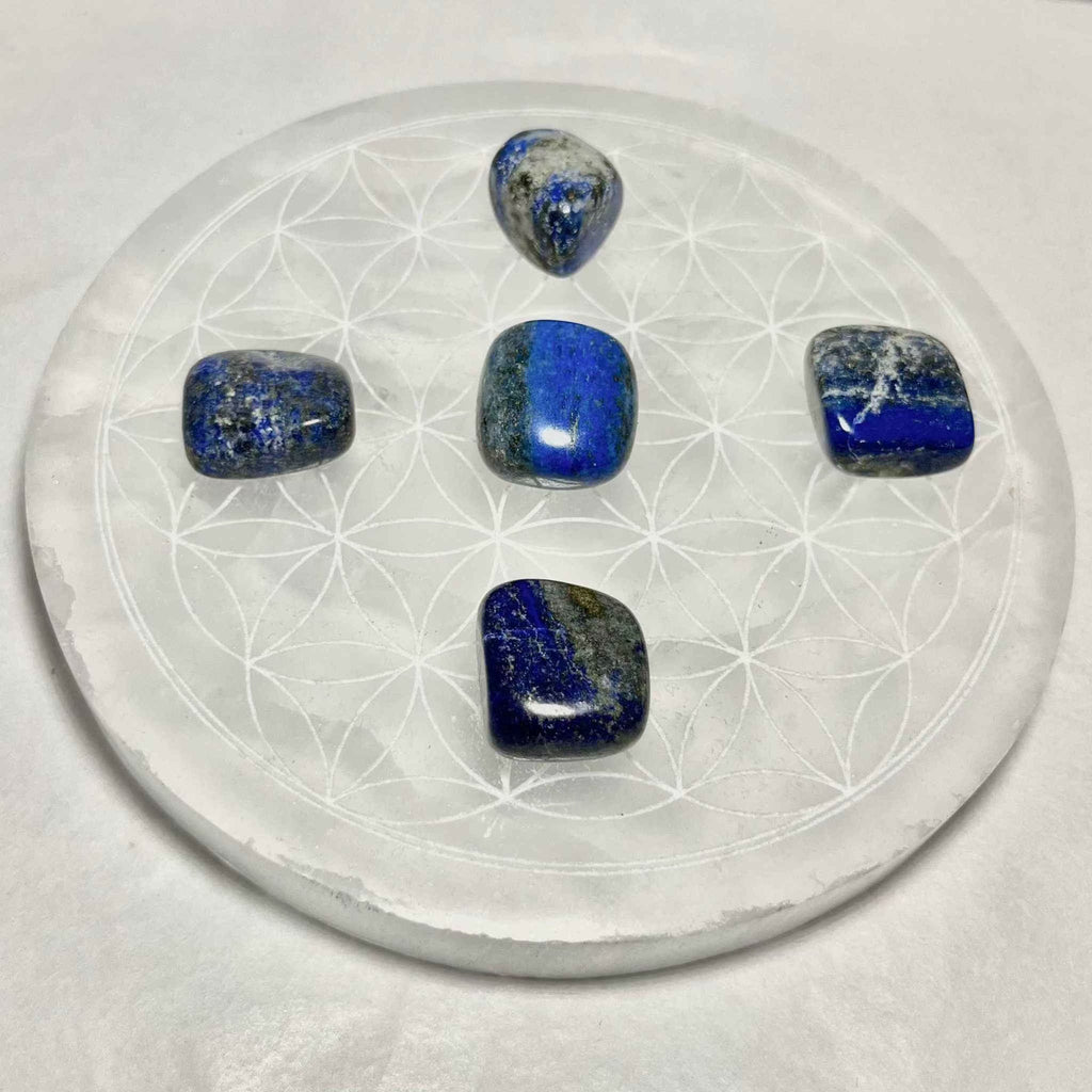 Lapis Lazuli Tumbled Pocket Stone | Tumbled Stones | Wiccan Center