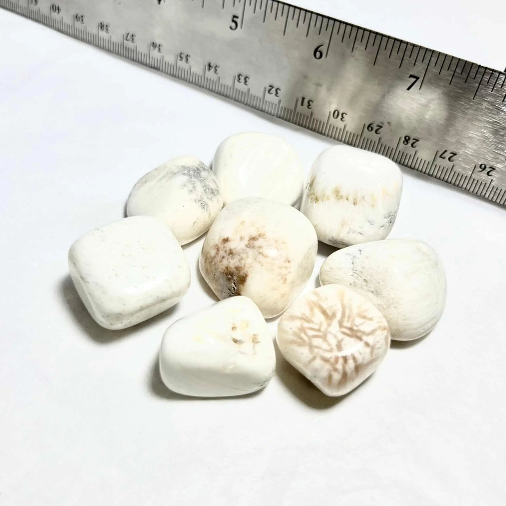 Scolecite Tumbled Stone | Tumbled Stones | Wiccan Center