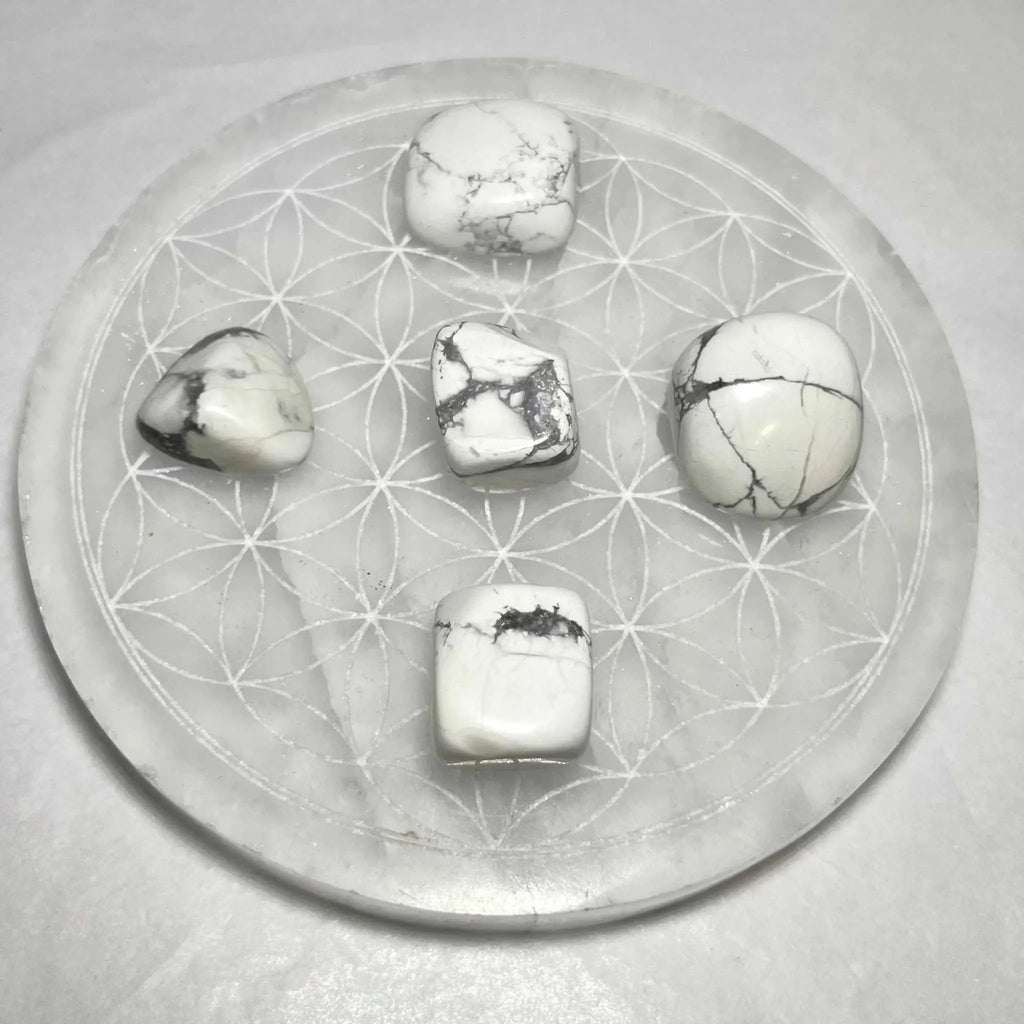 White Howlite Tumbled Stone | Tumbled Stones | Wiccan Center