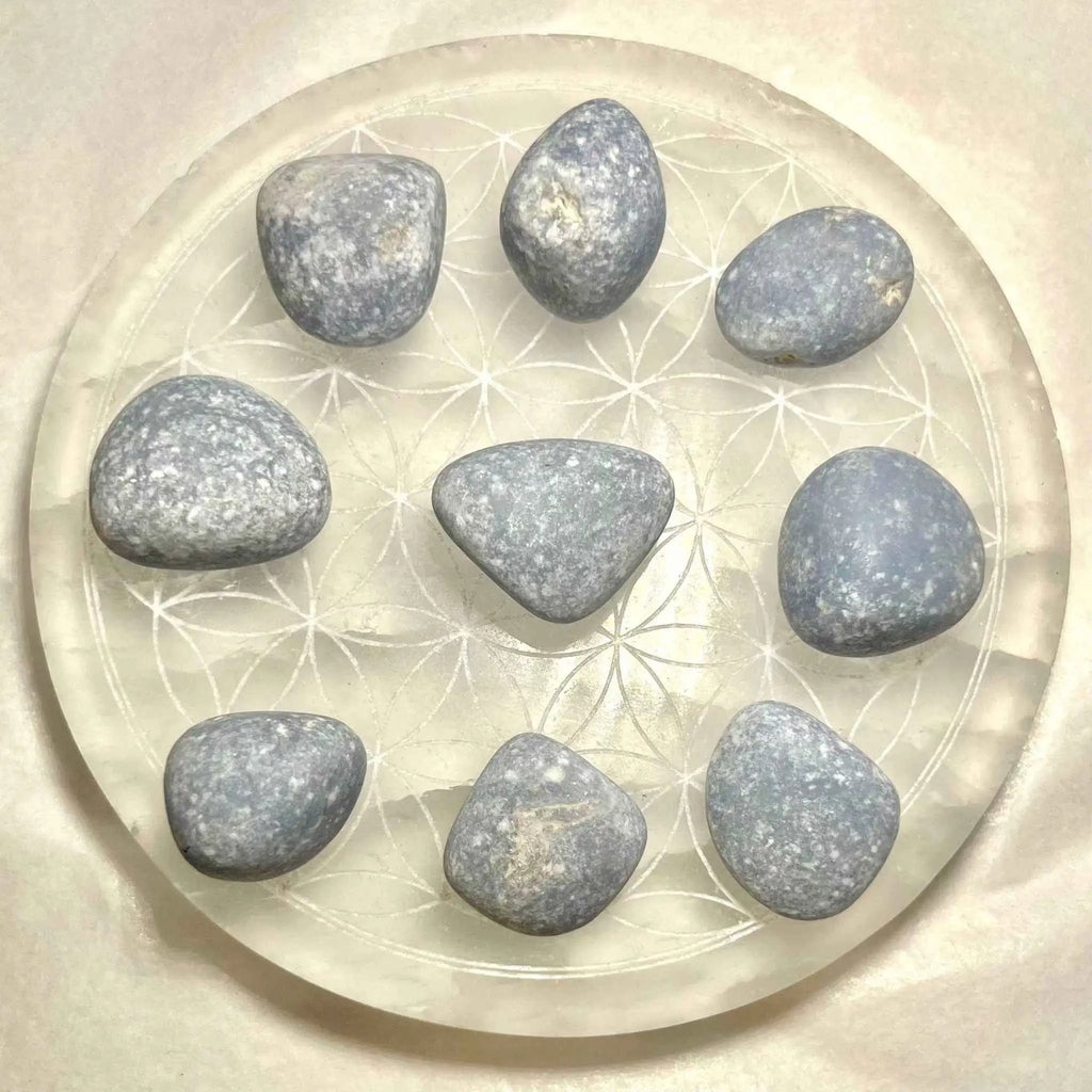 Angelite Tumbled Pocket Stone | Tumbled Stones | Wiccan Center