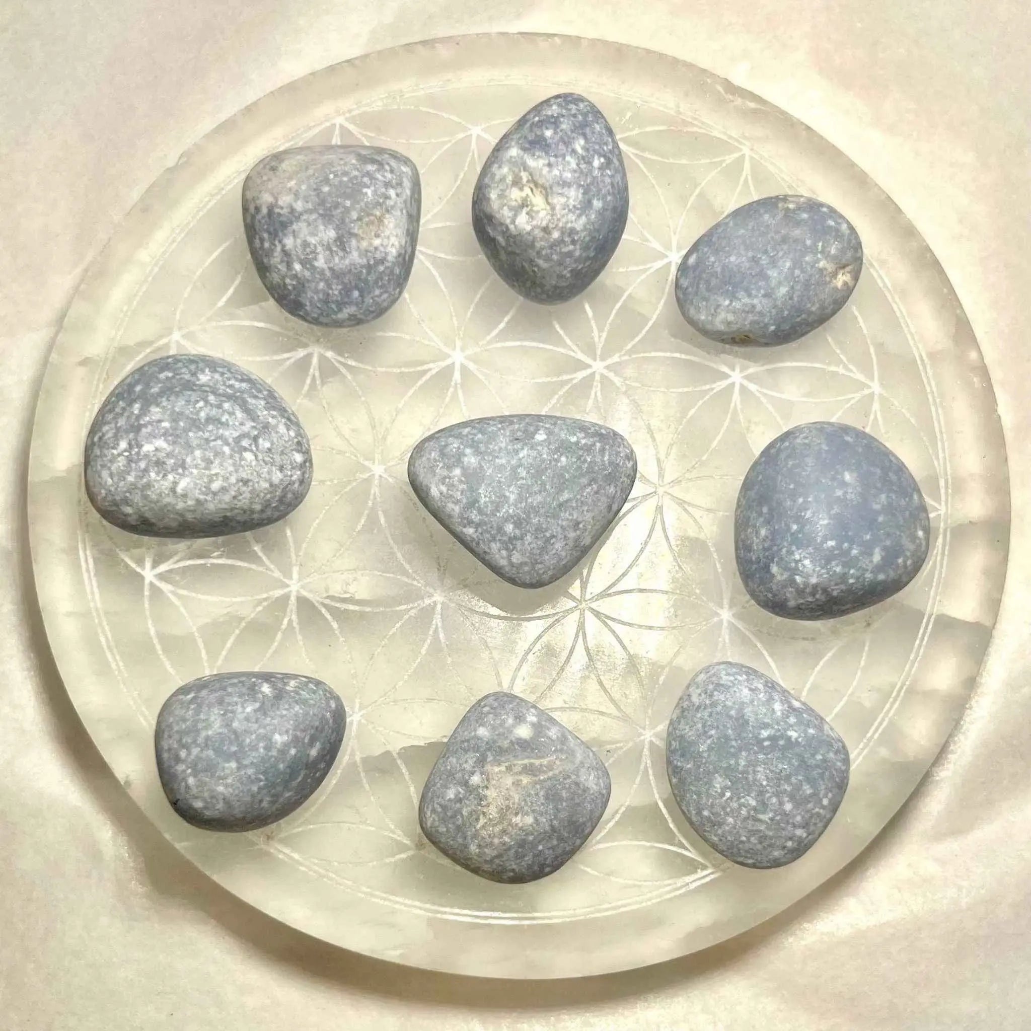 Angelite Tumbled Pocket Stone | Tumbled Stones | Wiccan Center