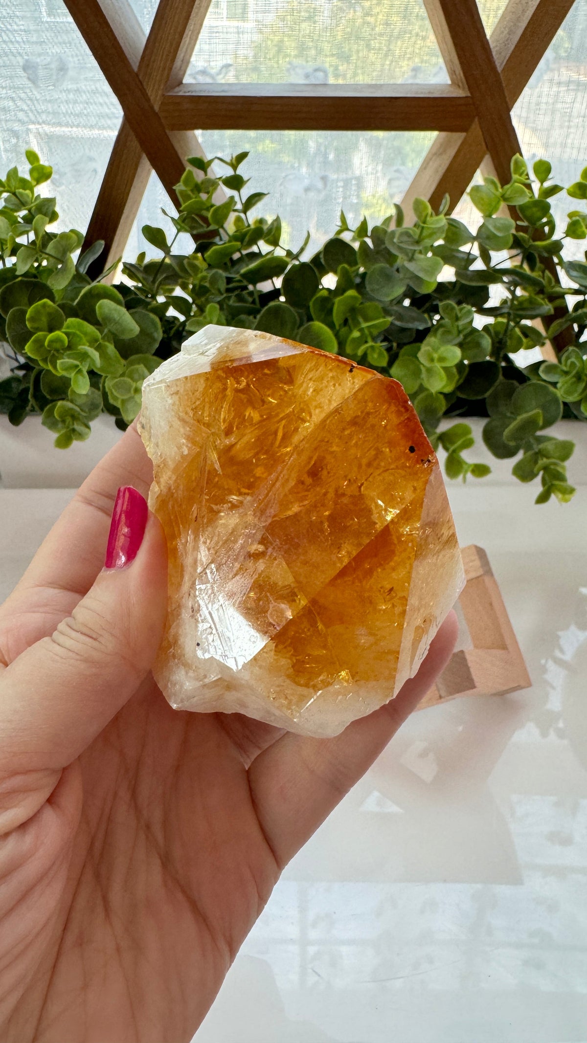 4" Citrine Specimen Point with Free Wood Stand