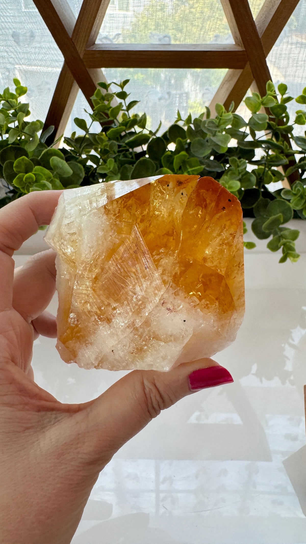 4" Citrine Specimen Point with Free Wood Stand