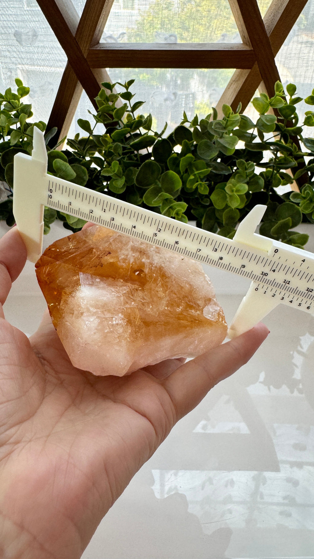 4" Citrine Specimen Point with Free Wood Stand