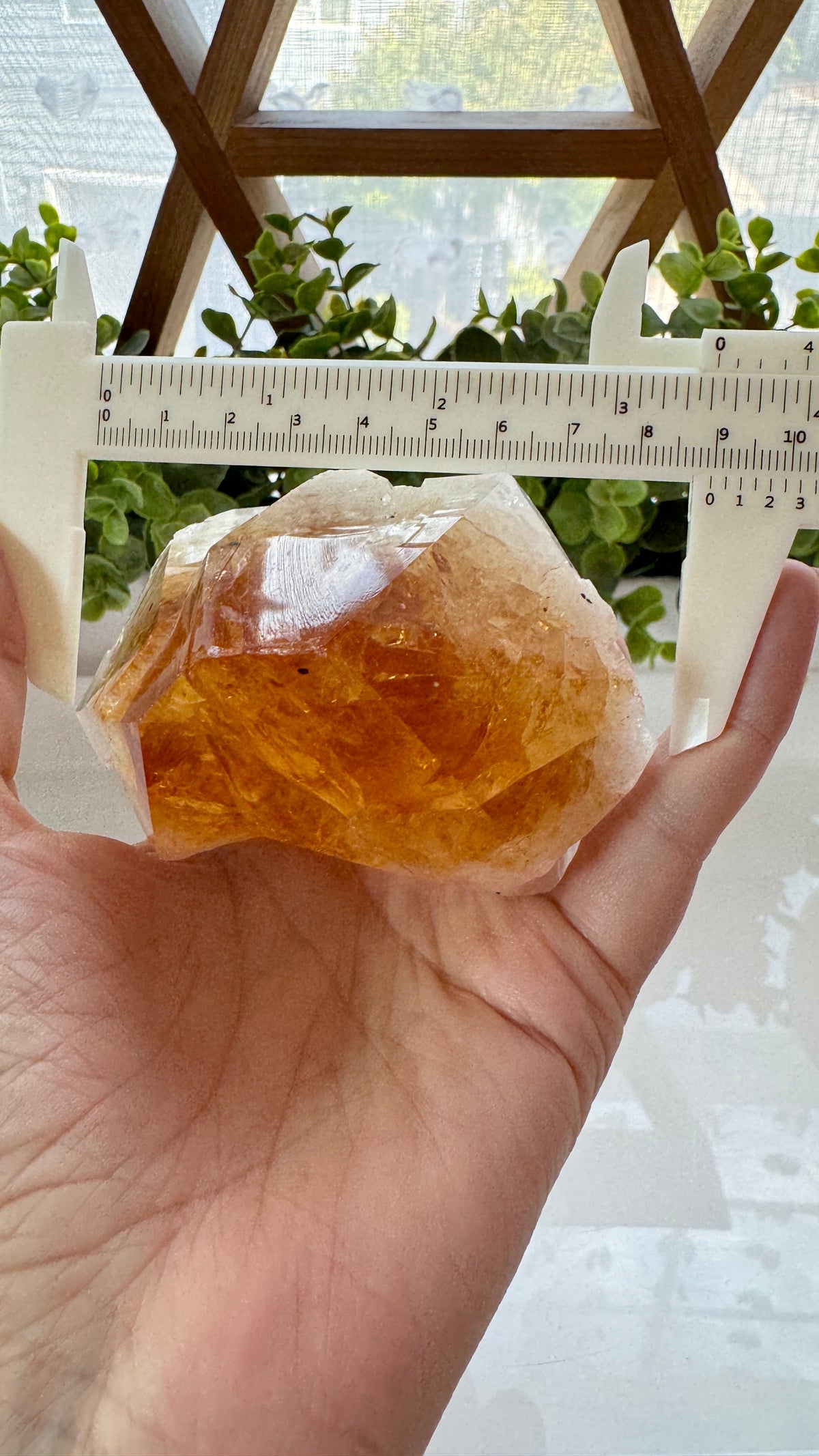 4" Citrine Specimen Point with Free Wood Stand