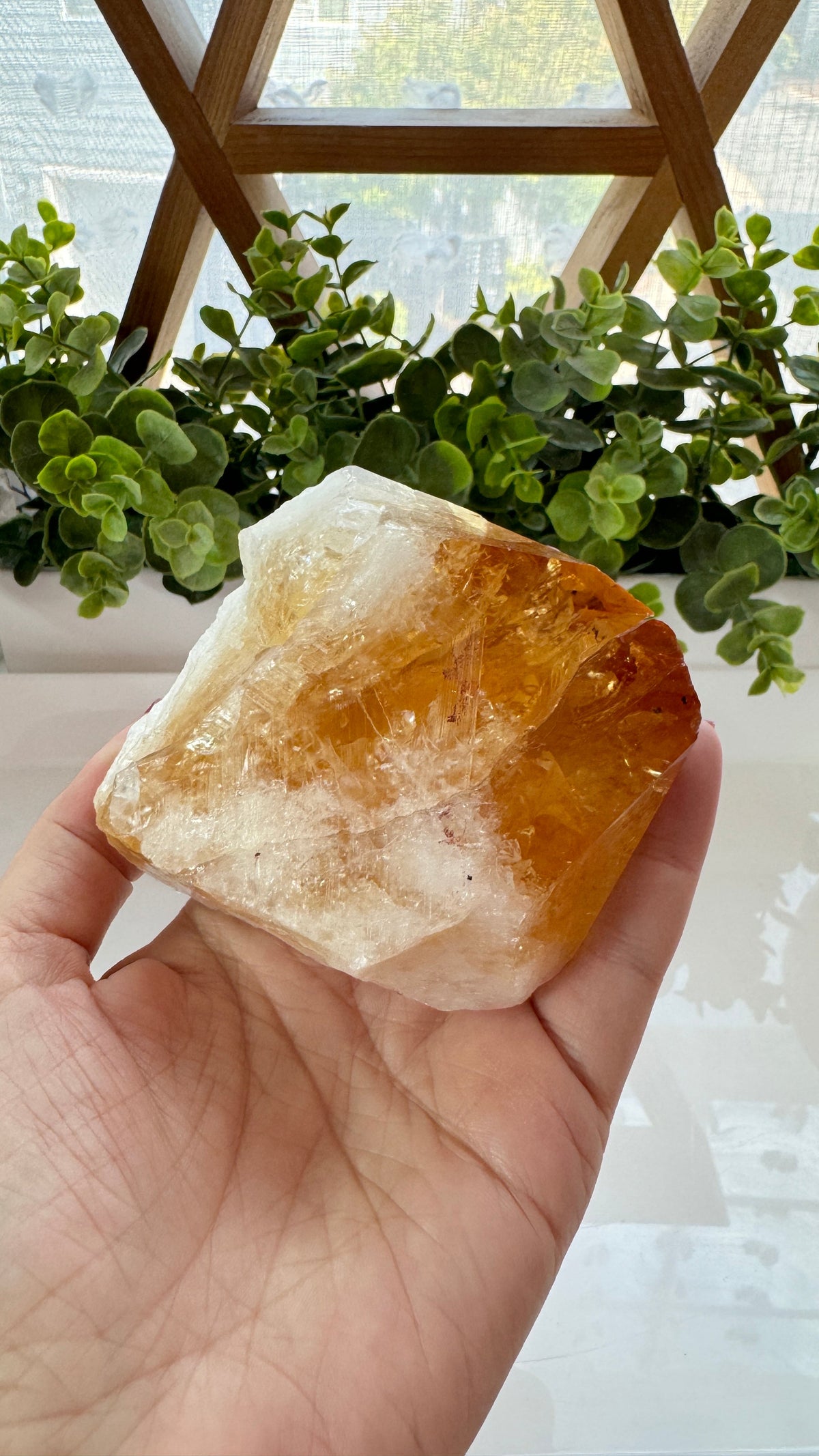 4" Citrine Specimen Point with Free Wood Stand