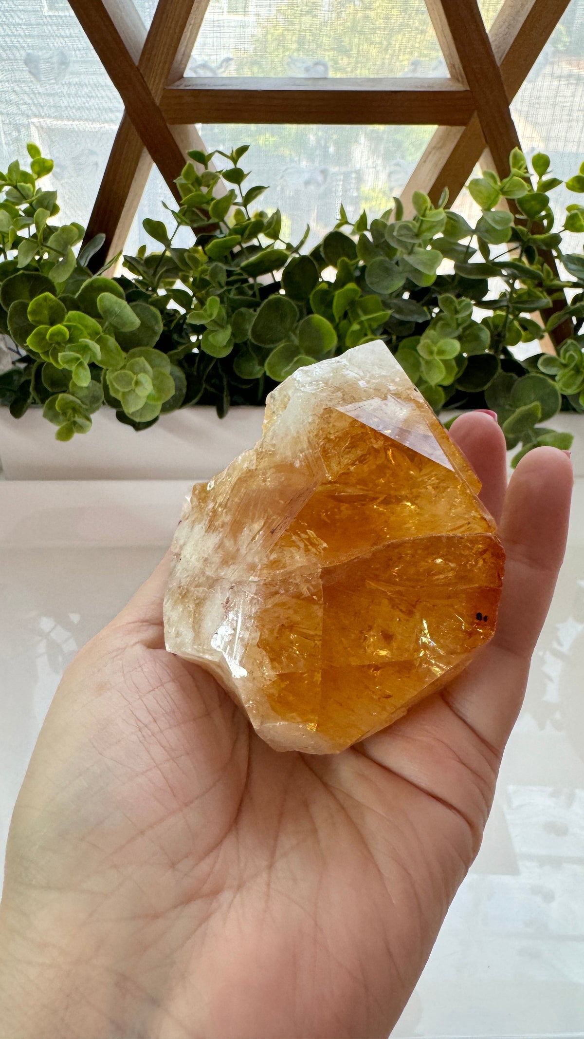 4" Citrine Specimen Point with Free Wood Stand