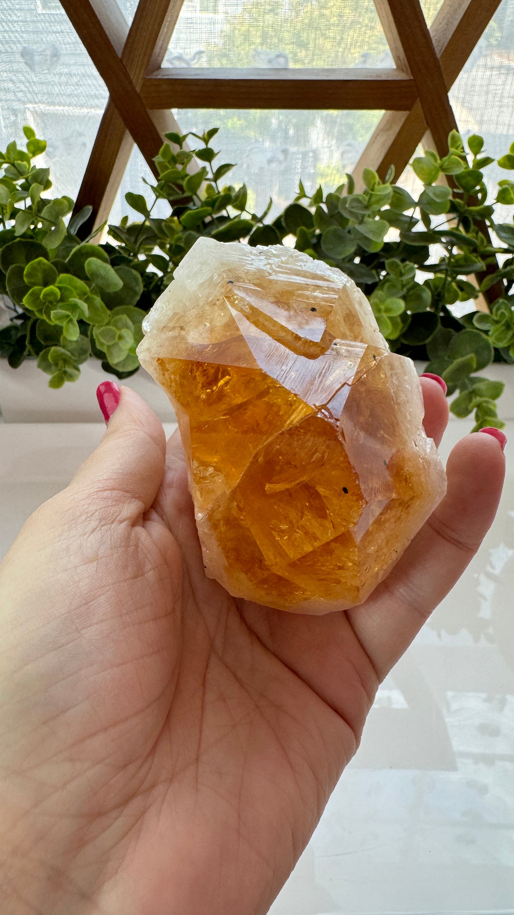 4" Citrine Specimen Point with Free Wood Stand