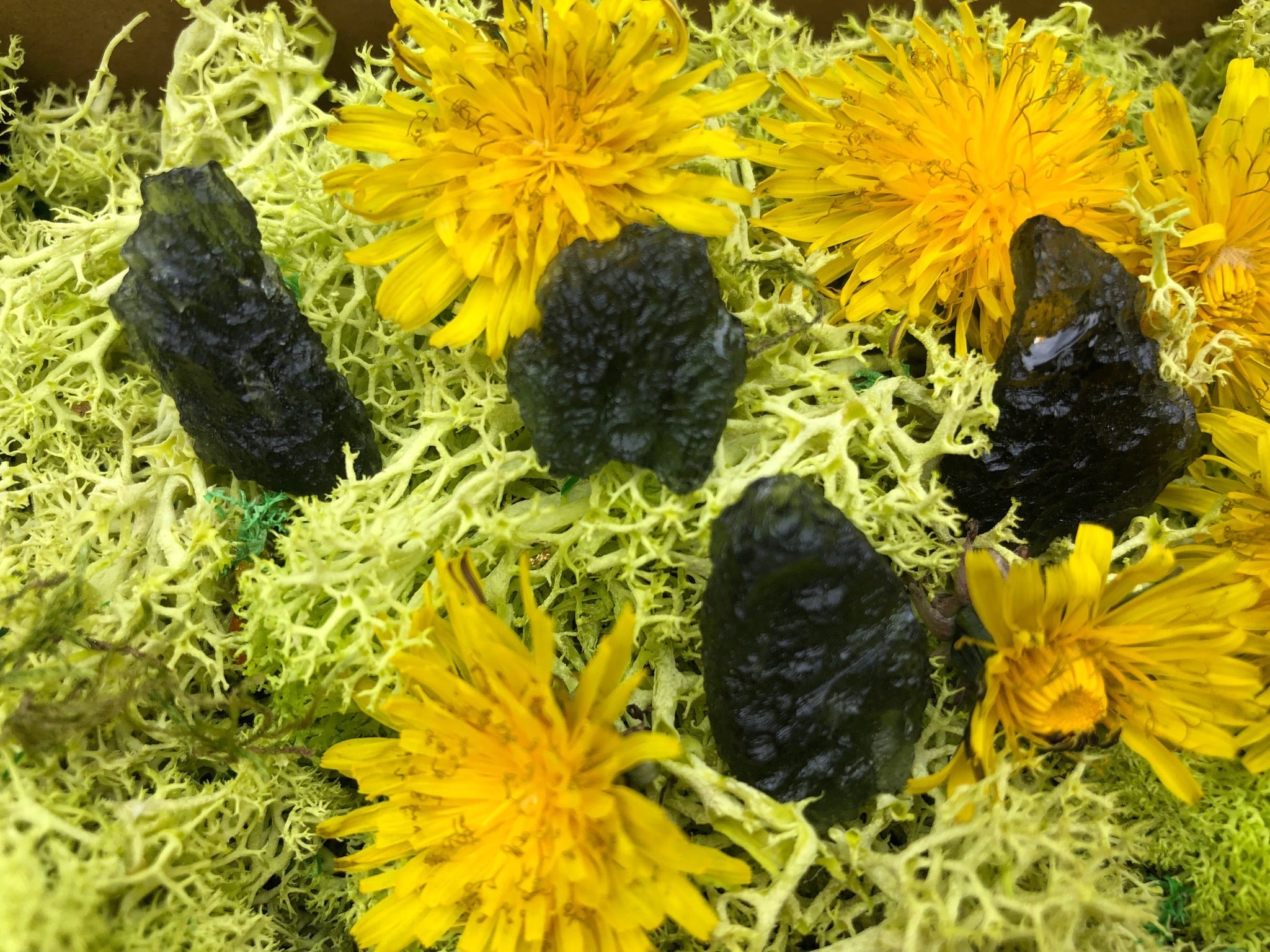 Genuine Moldavite | Rare Czech Meteorite Tektite | | Wiccan Center