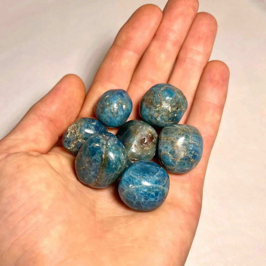 Blue Apatite Tumbled Stone | Tumbled Stones | Wiccan Center