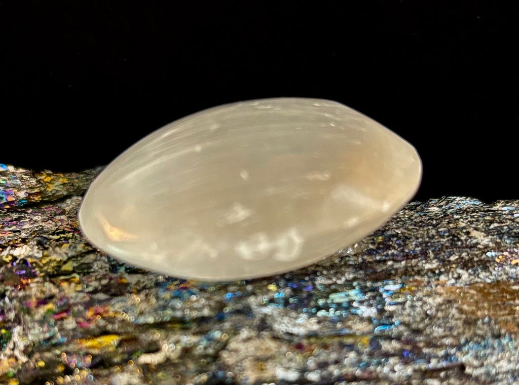 Selenite Palm Stone – 4cm (1.57") – Aura-Cleansing Crystal for Energy Healing & Clarity | | Wiccan Center