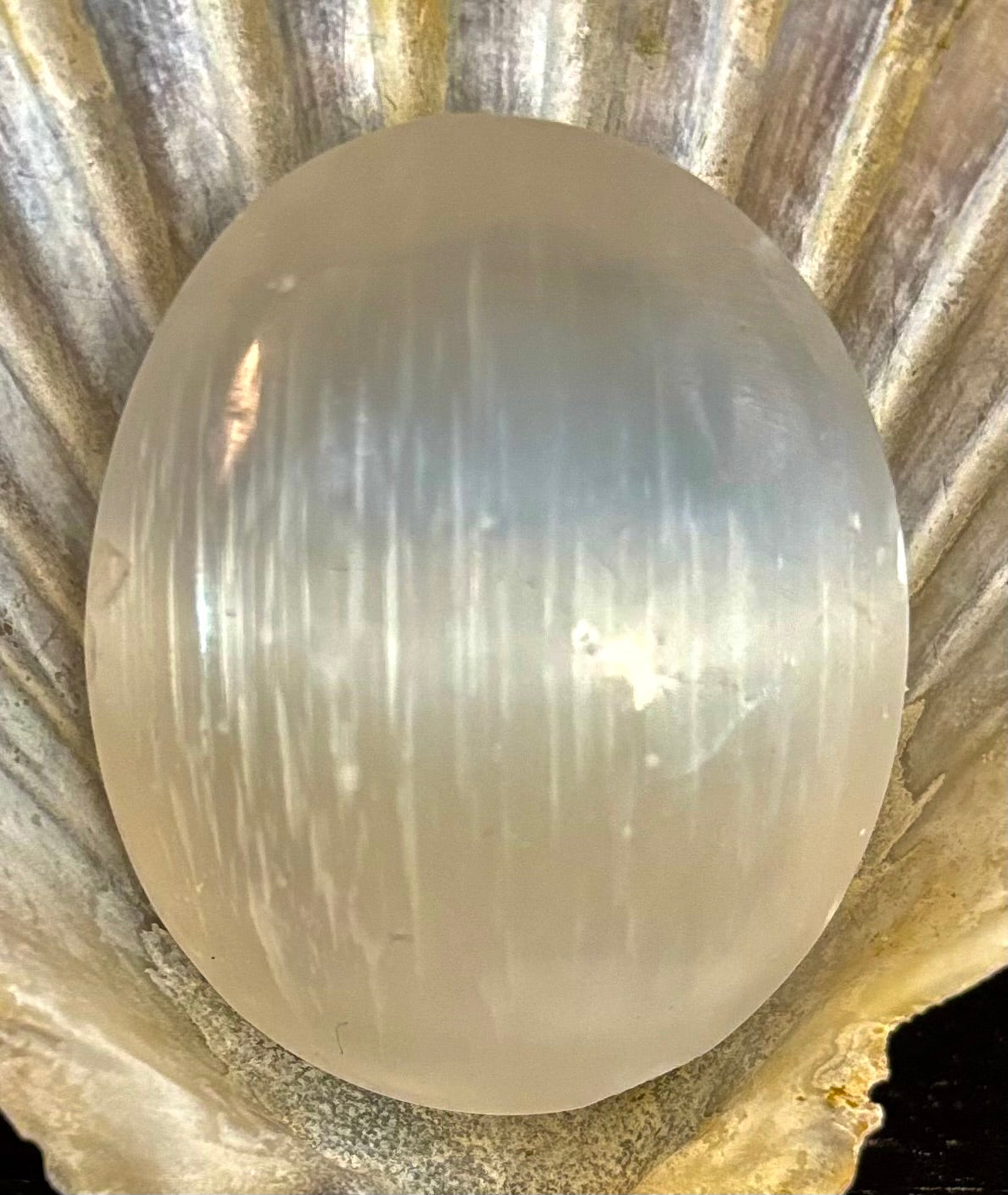 Selenite Palm Stone – 4cm (1.57") – Aura-Cleansing Crystal for Energy Healing & Clarity | | Wiccan Center