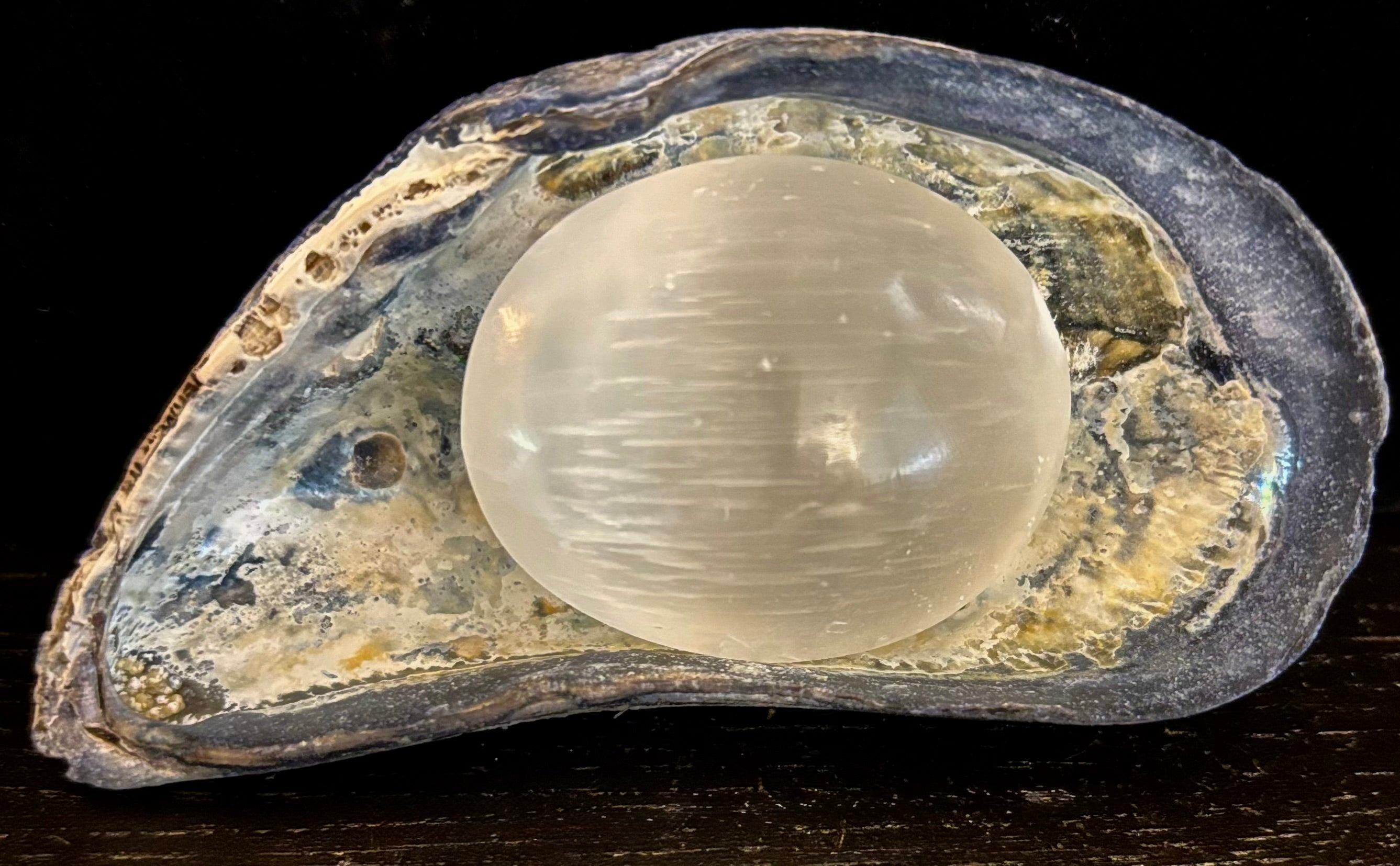 Selenite Palm Stone – 4cm (1.57") – Aura-Cleansing Crystal for Energy Healing & Clarity | | Wiccan Center
