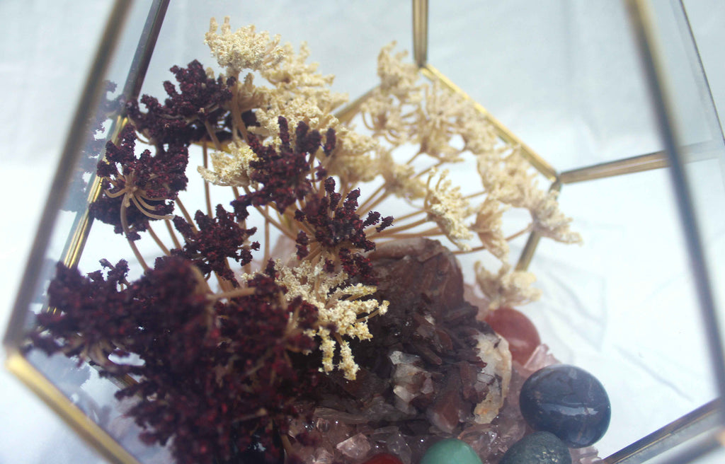Crystal Geode Terrarium Hematoid Quartz - Grounded Garden | | Wiccan Center