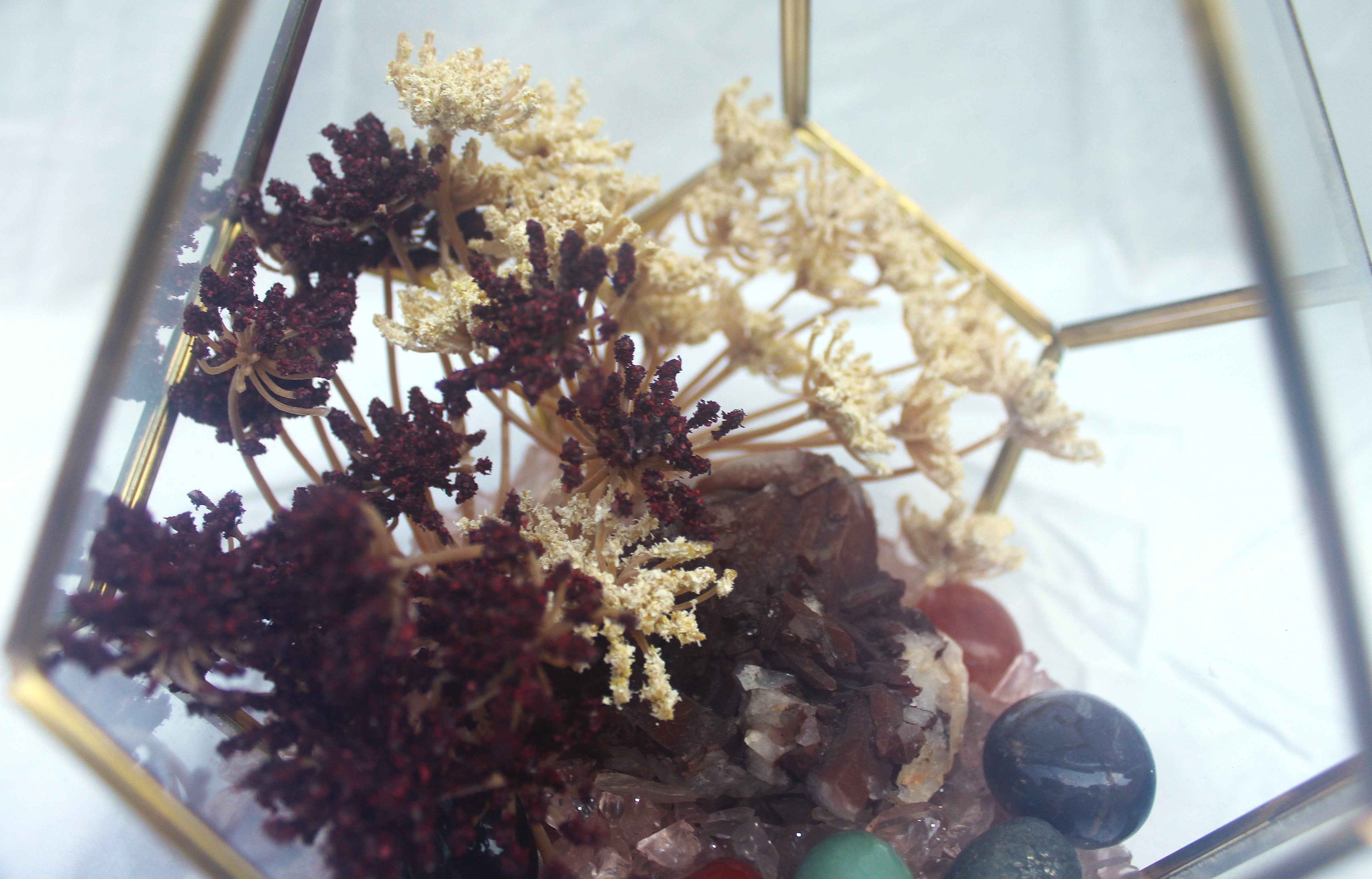 Crystal Geode Terrarium Hematoid Quartz - Grounded Garden | | Wiccan Center