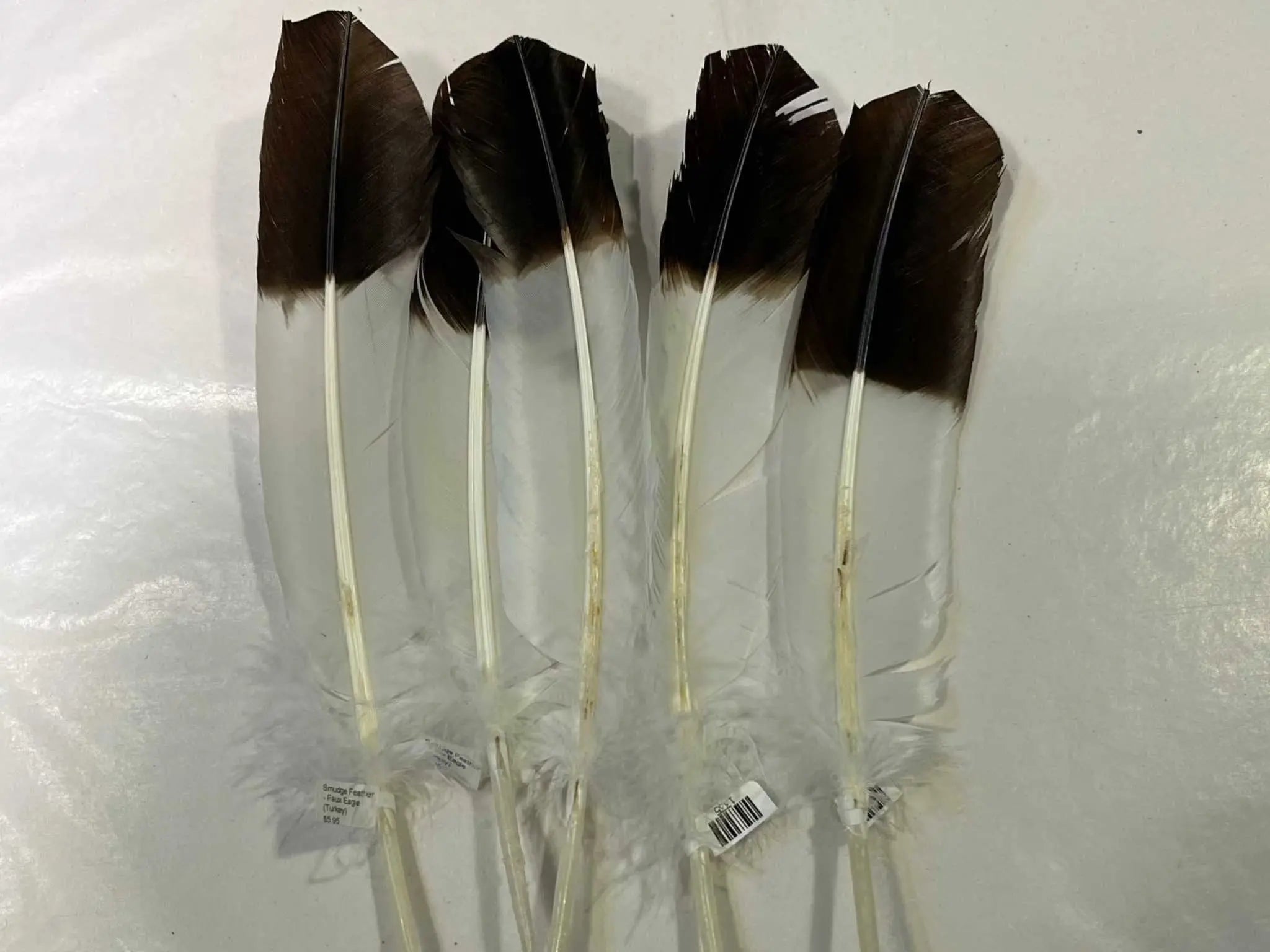 Smudge Feather - Faux Eagle (Turkey) | Feathers | Wiccan Center