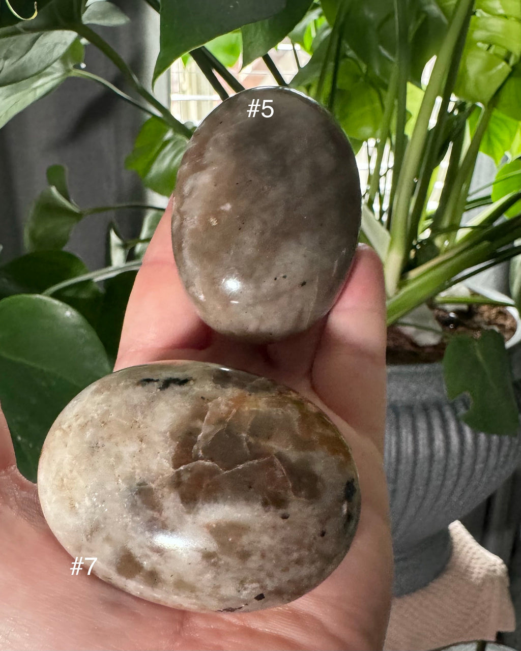 Polarity Moonstone | | Wiccan Center