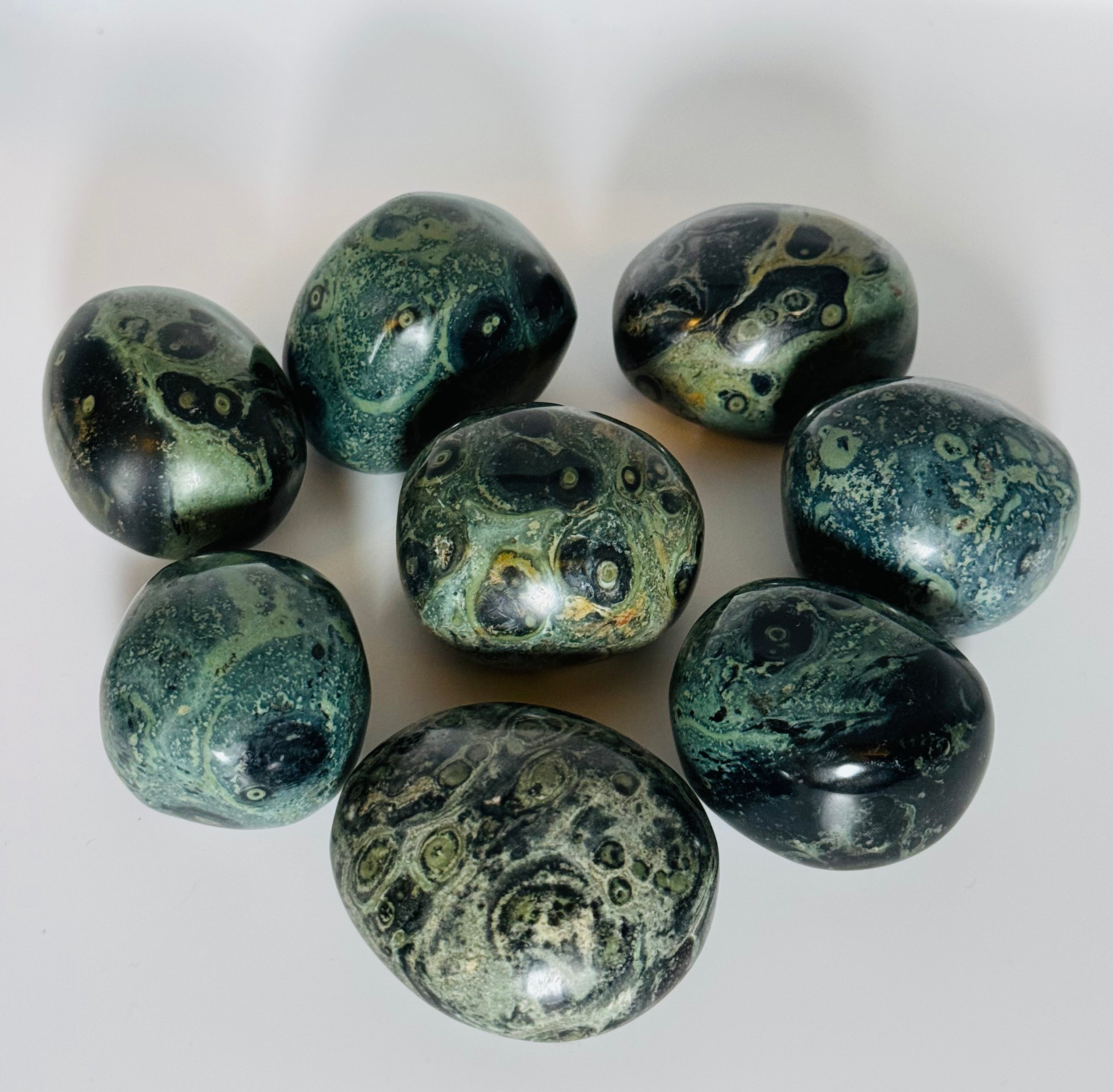 Kambaba Jasper | | Wiccan Center