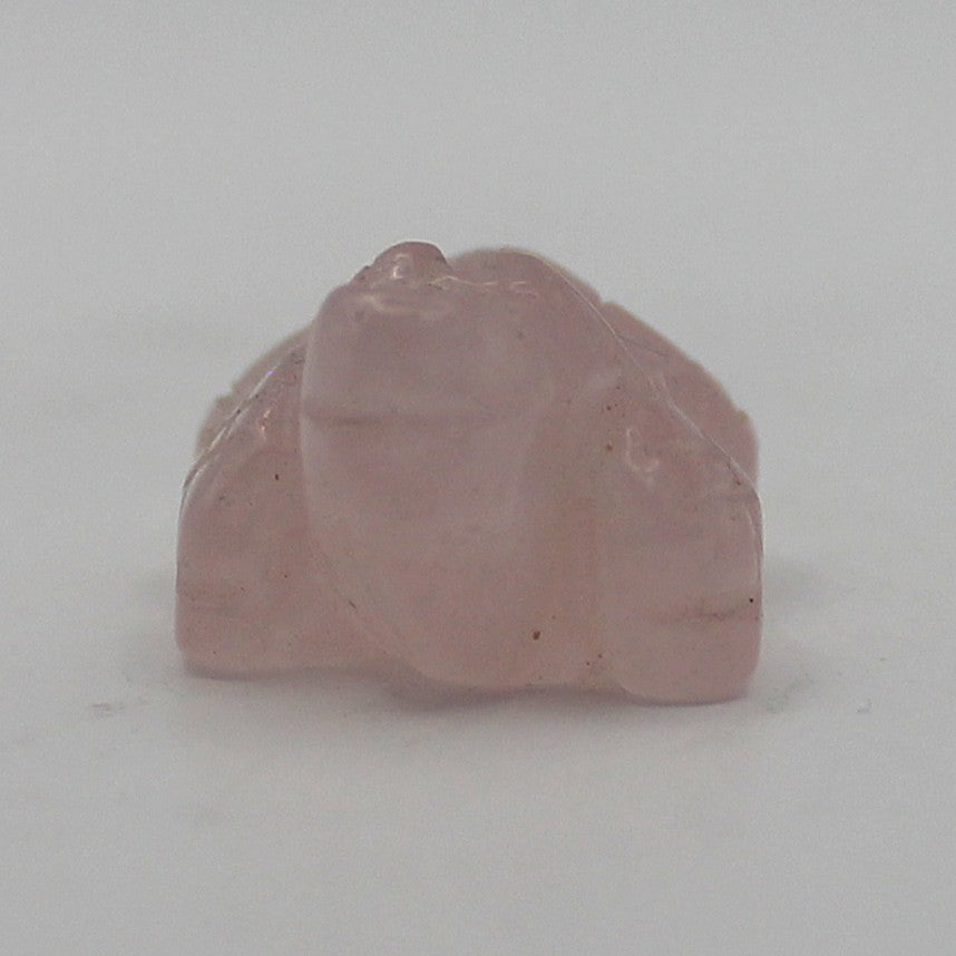 Mini Crystal Alligator | | Wiccan Center