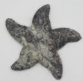 Jasper Starfish Carving – Grounding Energy & Ocean-Inspired Décor | | Wiccan Center