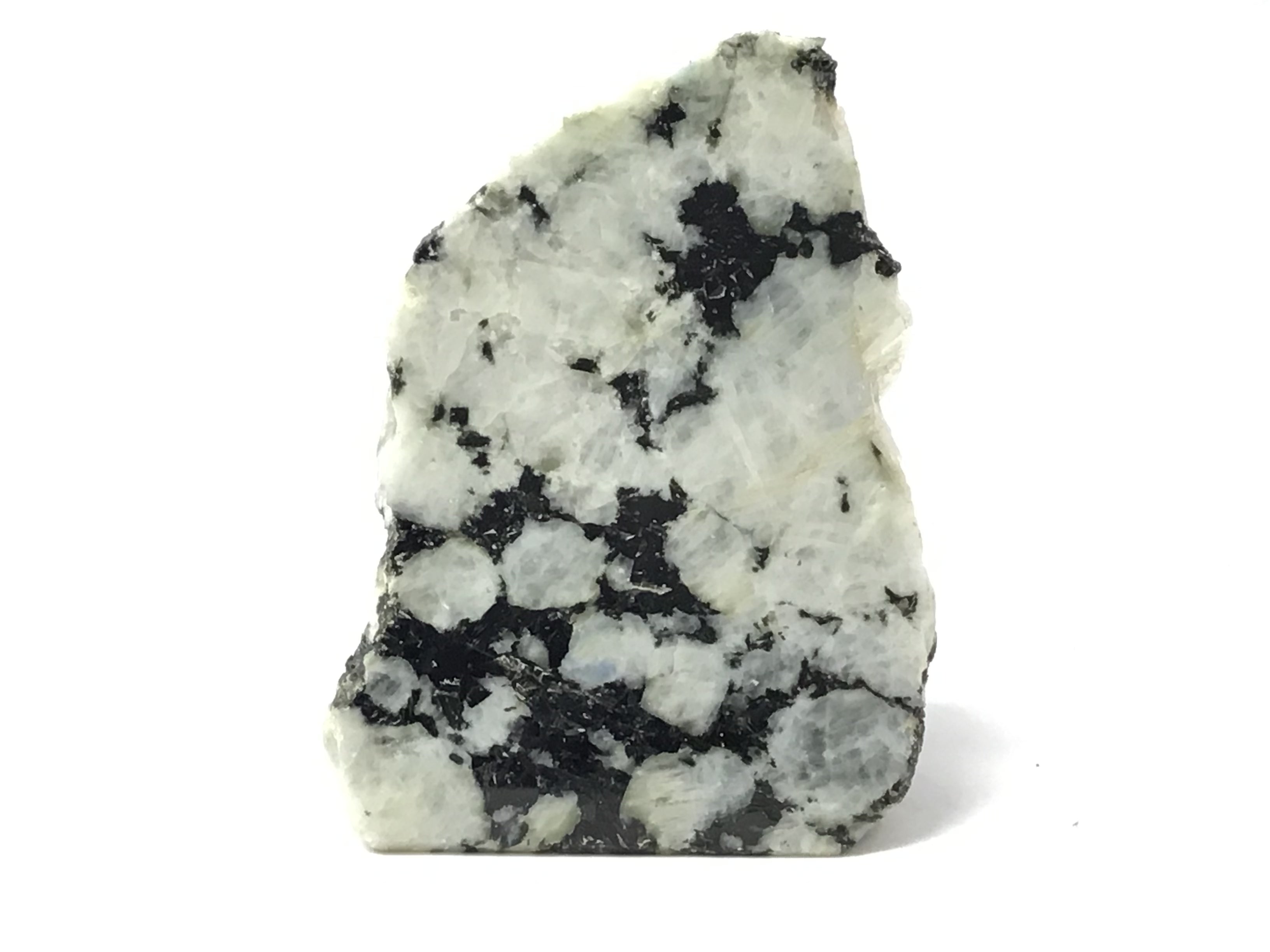 Rainbow Moonstone Specimen - One Side Polish - Large | Crystals & Minerals > Specimens | Wiccan Center